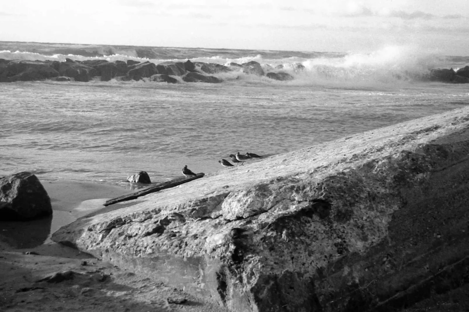 Luxe toevluchtsoord in Lonstrup-By Traum-Waterzicht