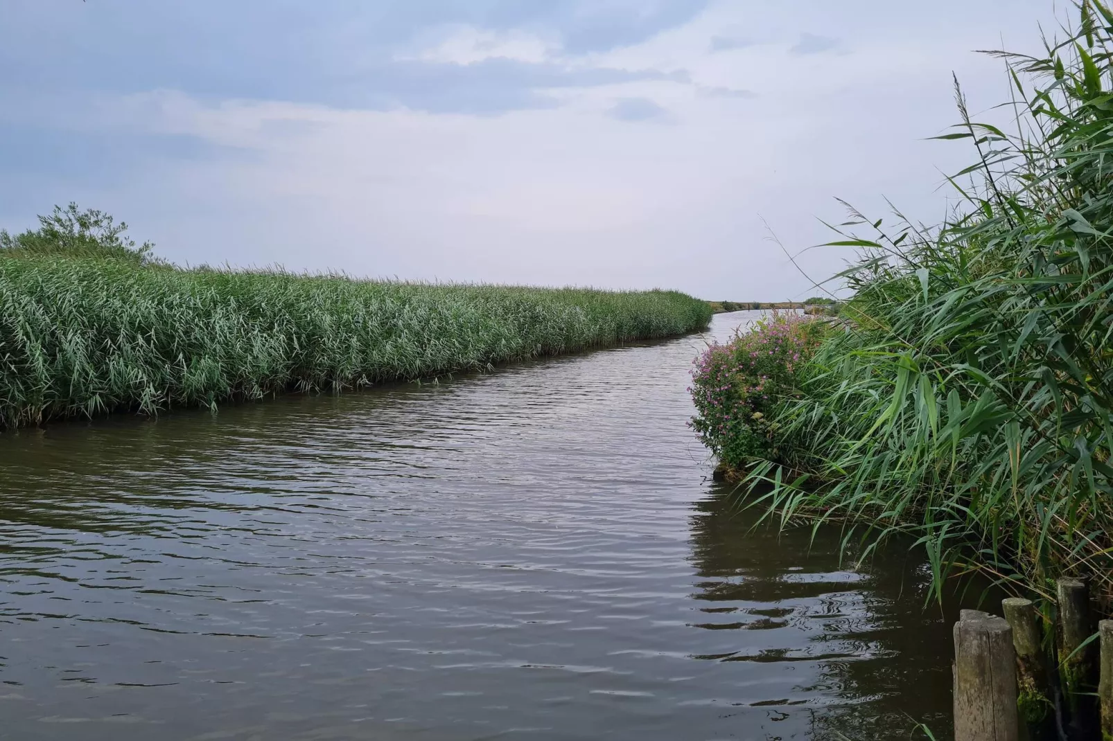 Kustsereniteit in LyngsAY-By Traum-Waterzicht