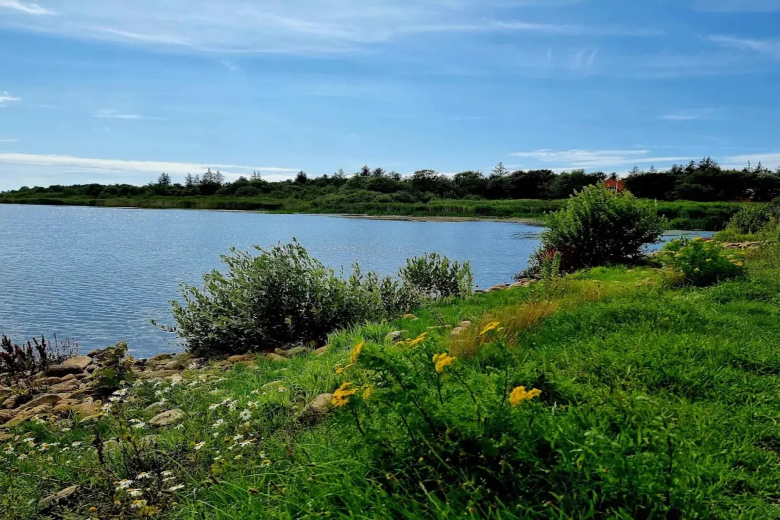 6 persoons vakantie huis in Henne-Waterzicht