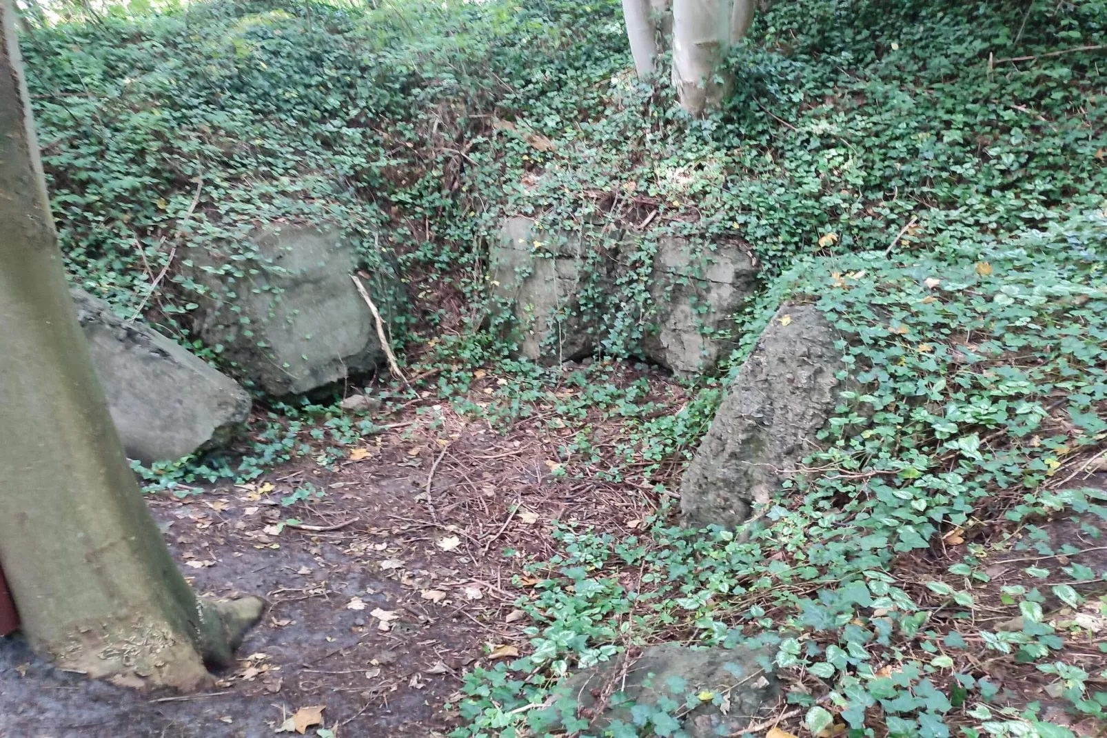 6 persoons vakantie huis in Toftlund-Niet-getagd