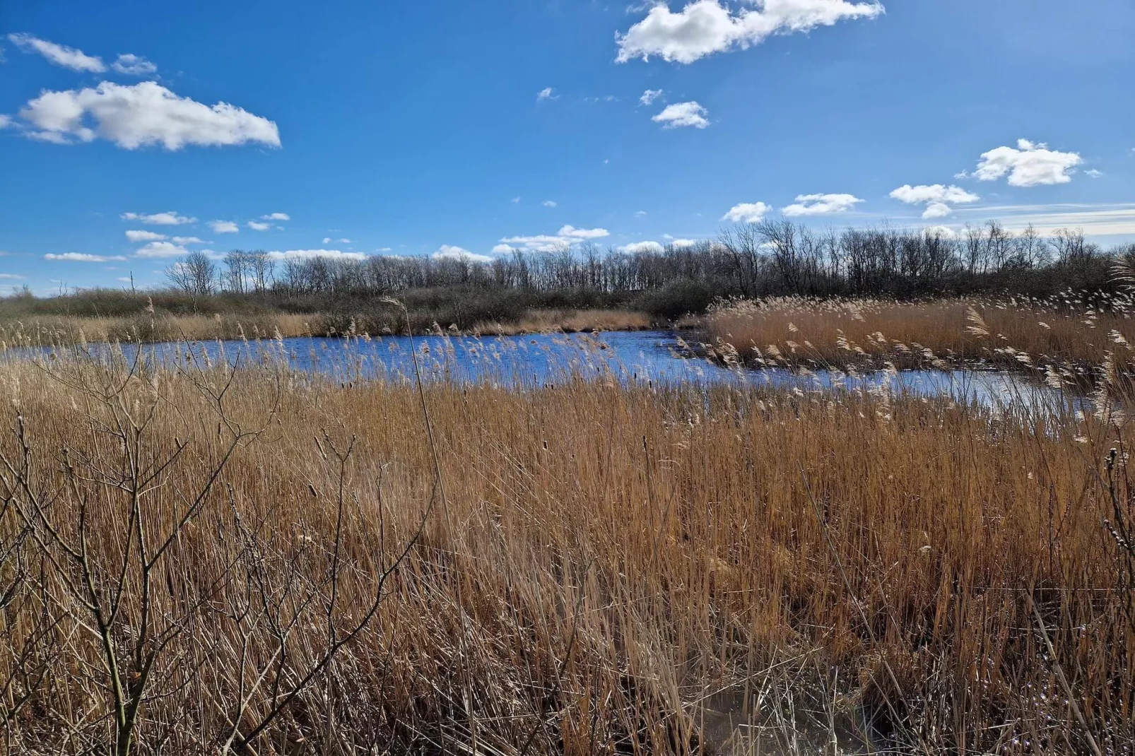 6 persoons vakantie huis in Bredebro-Waterzicht