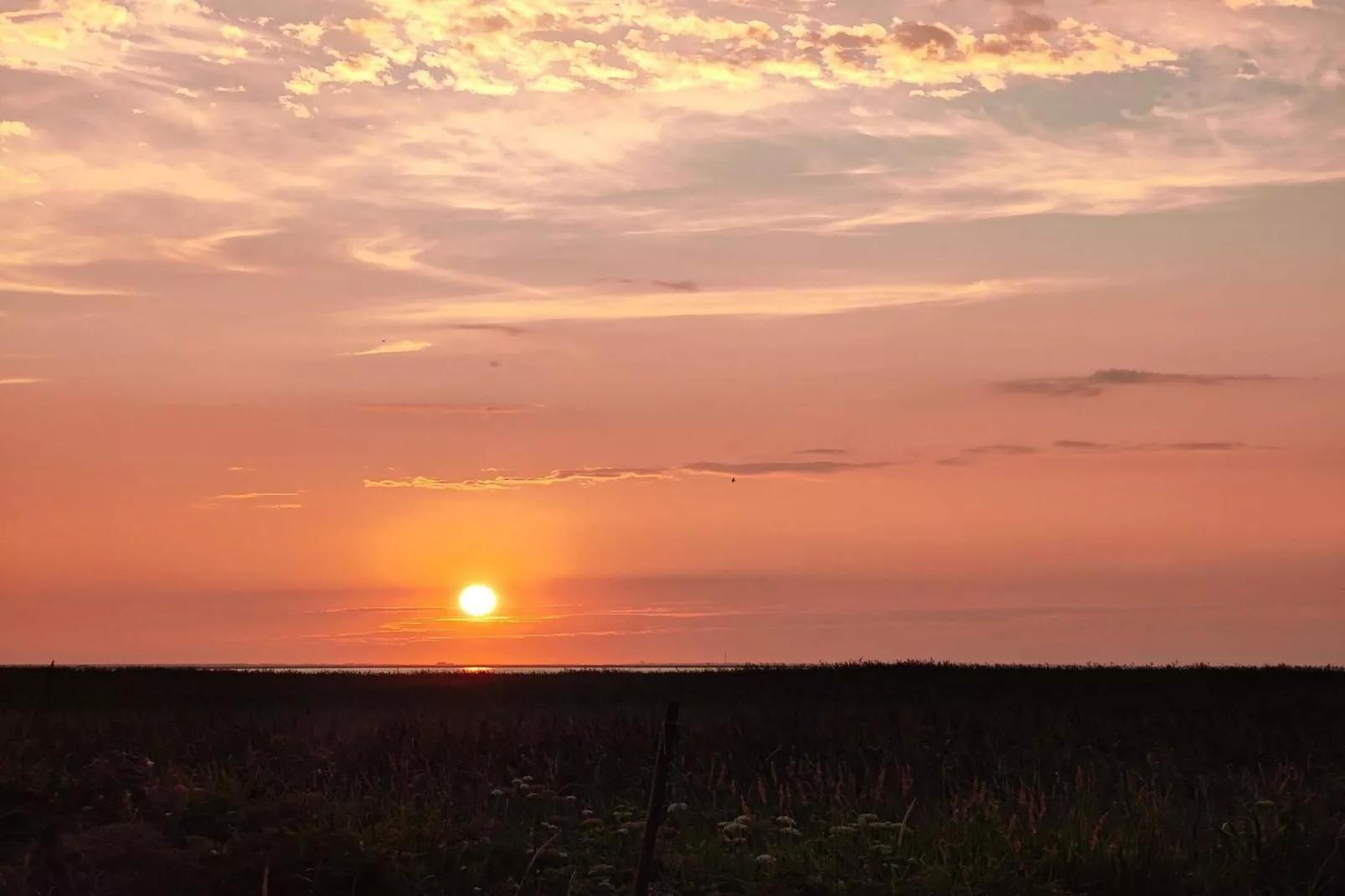 8 persoons vakantie huis in Ulfborg-Niet-getagd