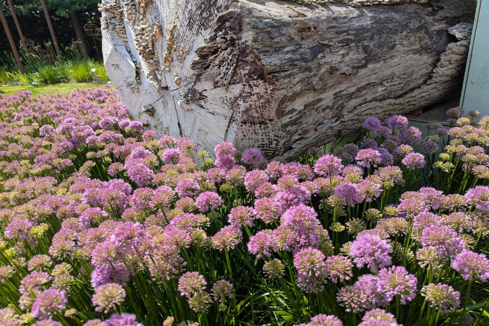 Betoverend huisje in Oksbol Oase-By Traum-Niet-getagd
