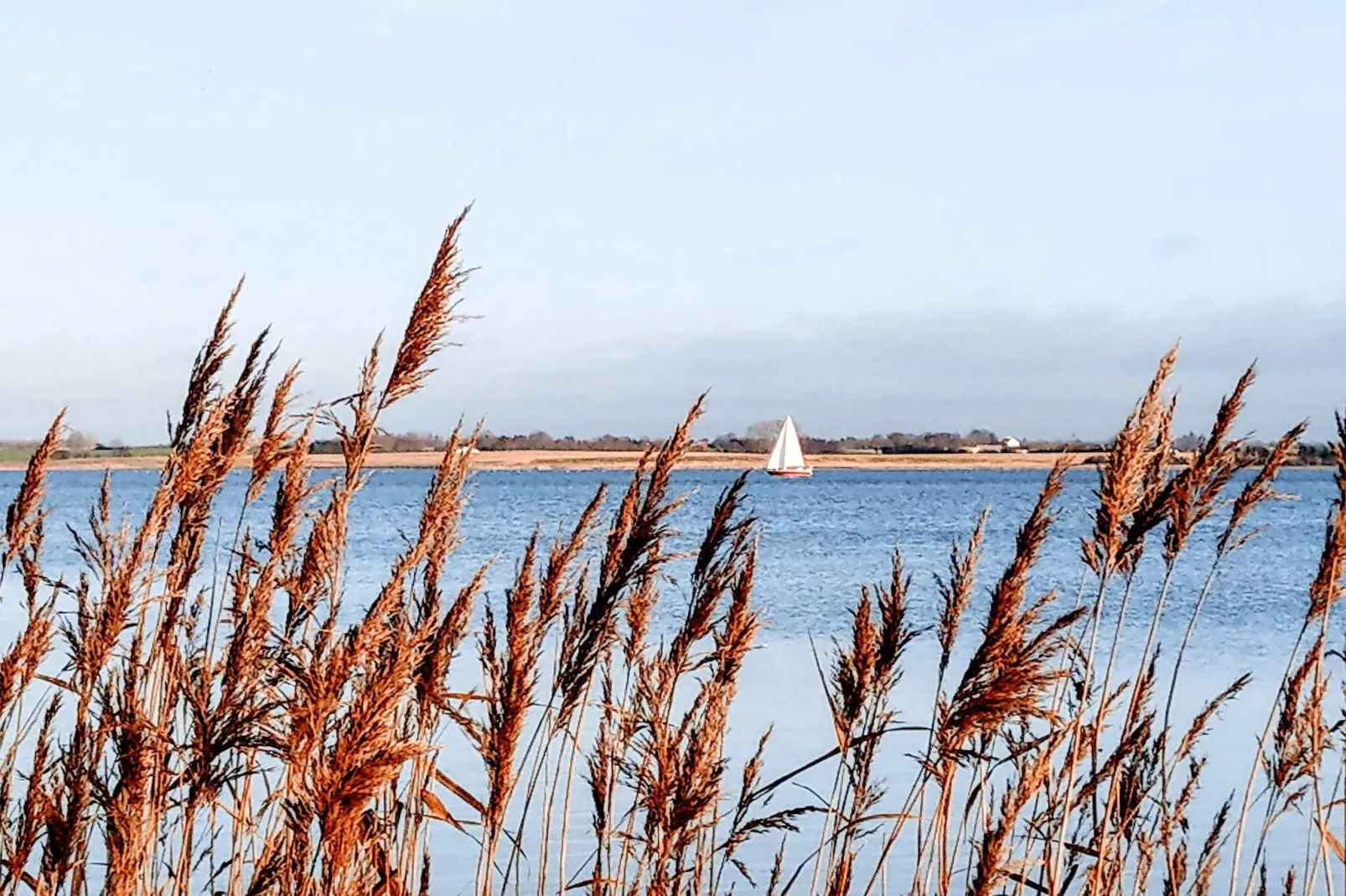 6 persoons vakantie huis in Kirke Hyllinge-Waterzicht