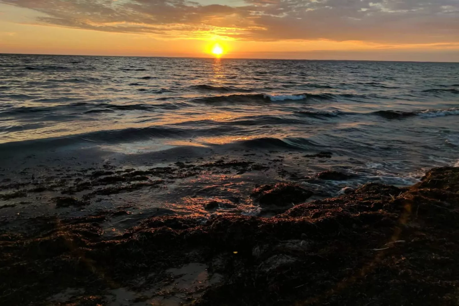 6 persoons vakantie huis in Gedser-Waterzicht