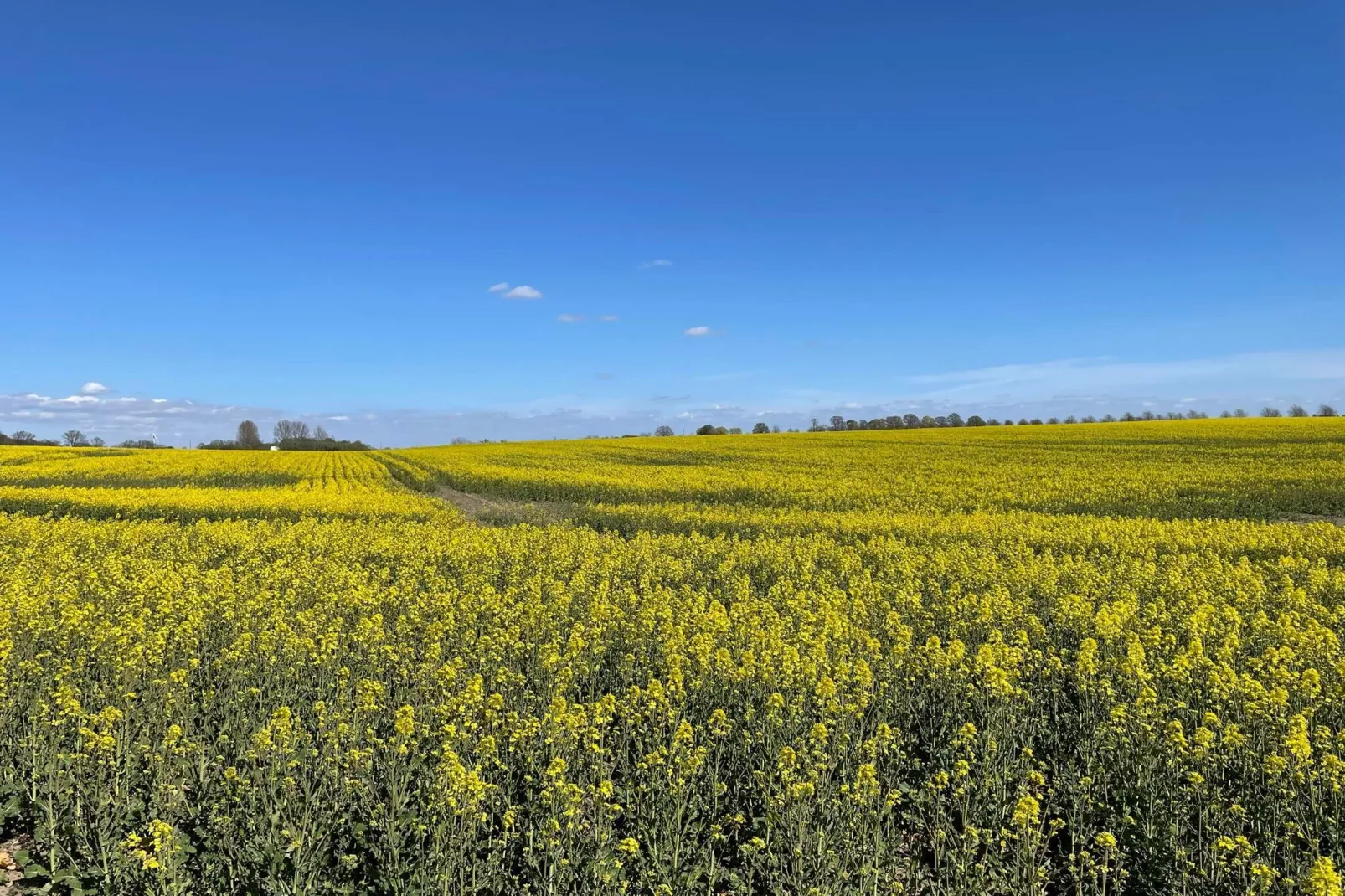 4 persoons vakantie huis in LÖDDEKÖPINGE-Niet-getagd