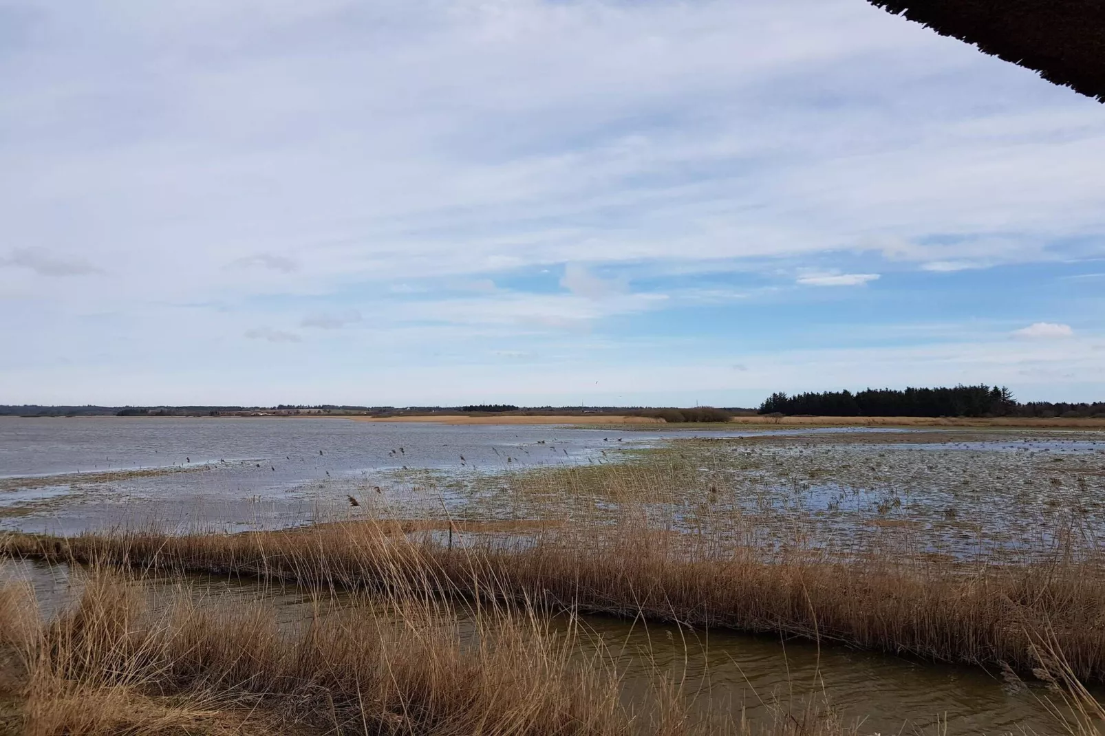 Ezinsplek dicht bij strand -- By Traum Ferienwohnungen-Waterzicht