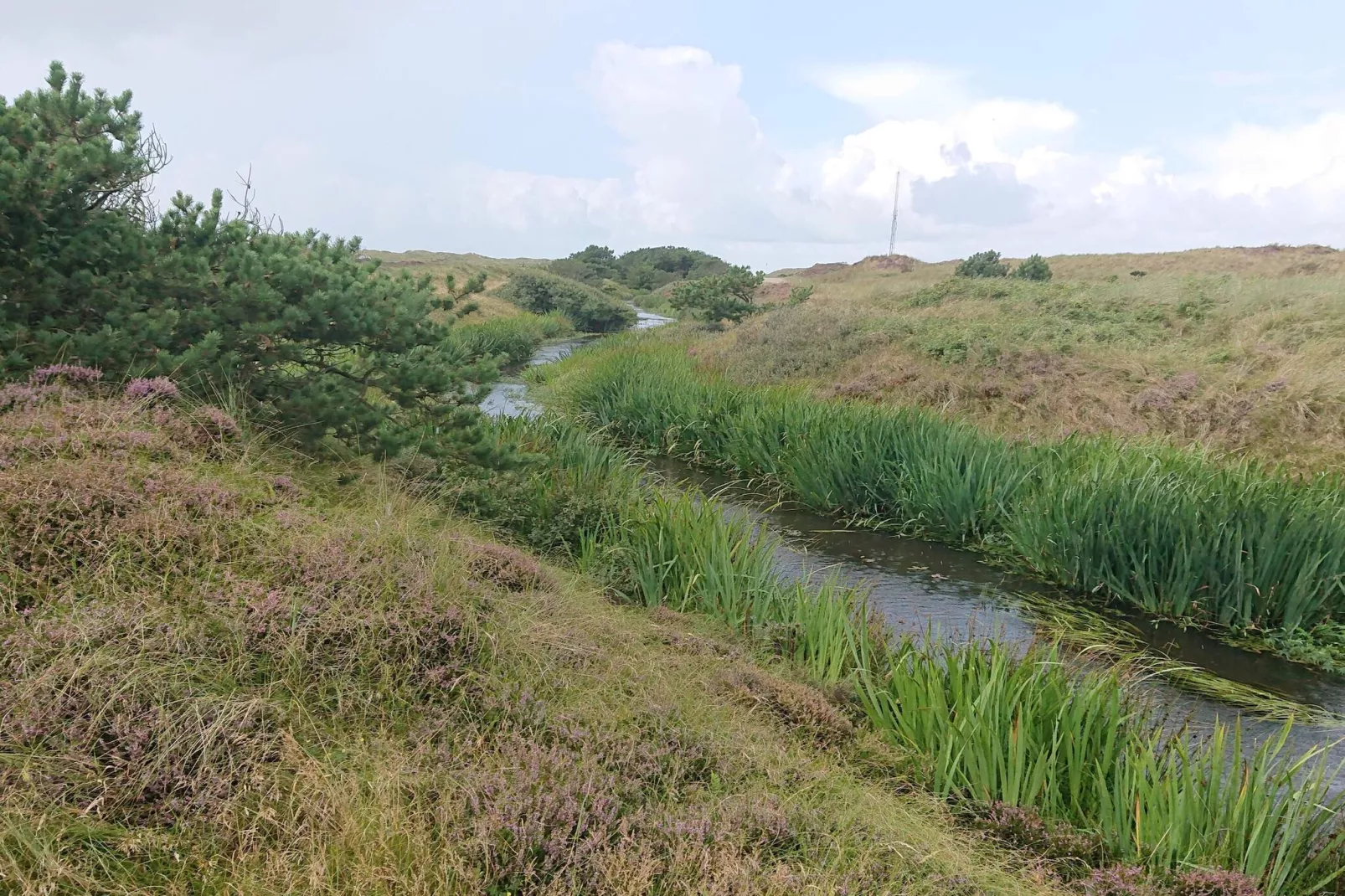 Gezellig strandhuis in Vejers -- By Traum Ferienwohnungen-Waterzicht