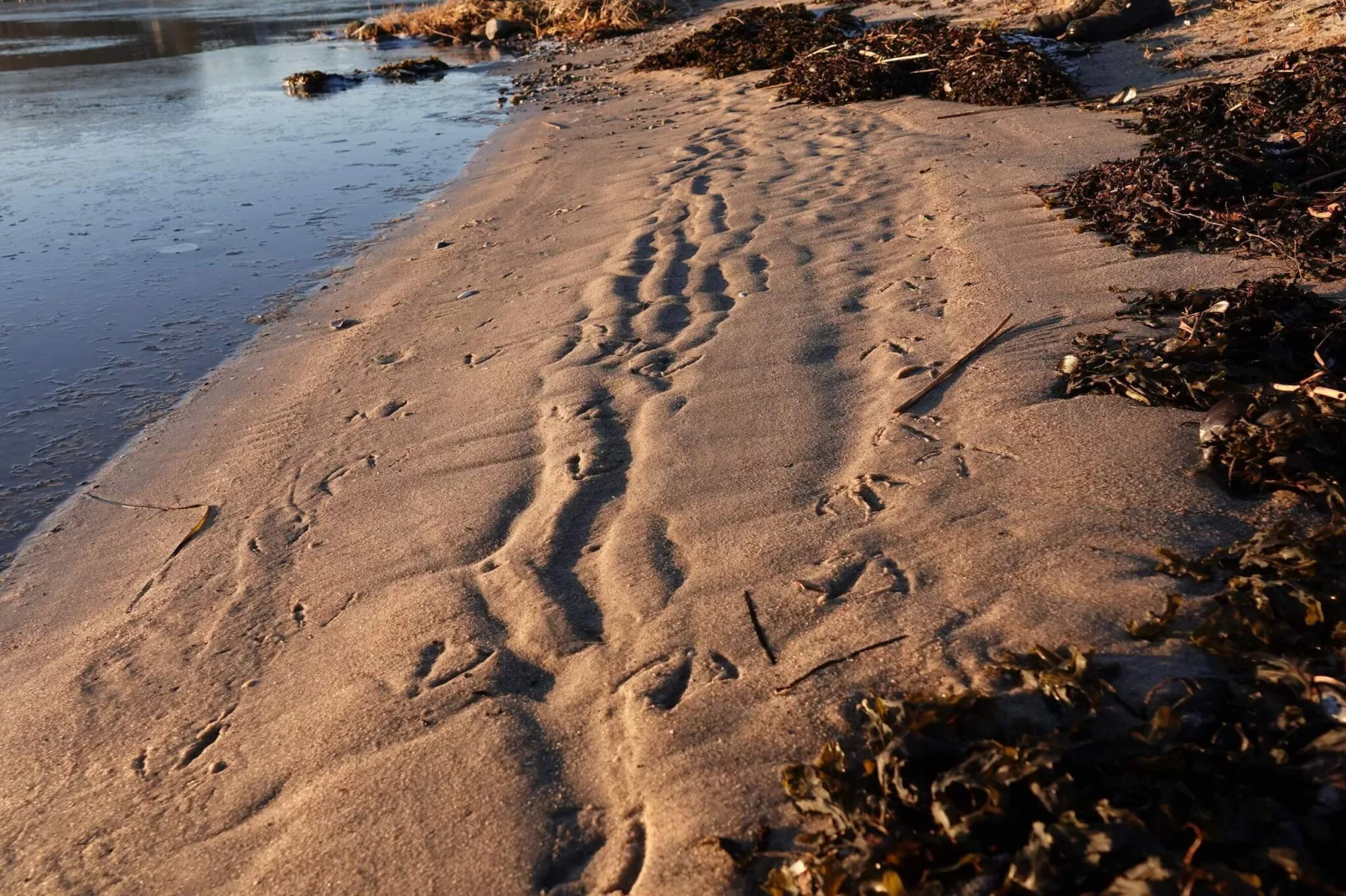 4 persoons vakantie huis in Haderslev-By Traum-Waterzicht