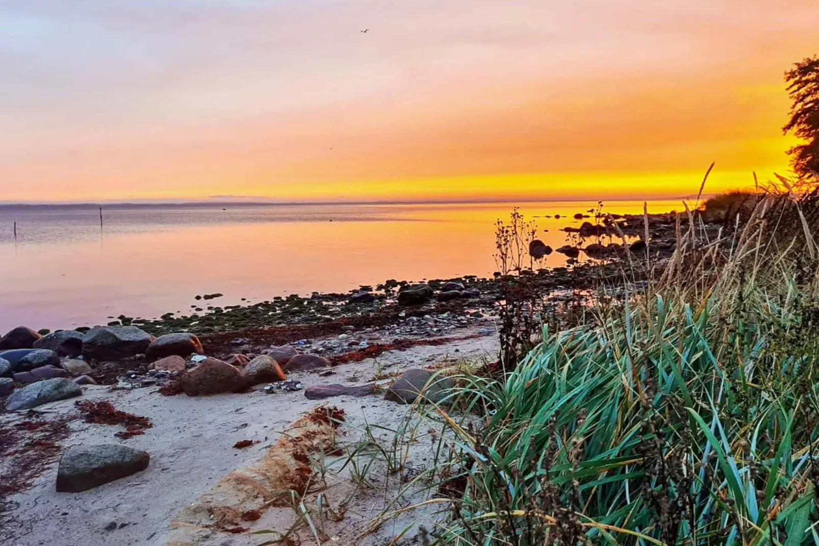 6 persoons vakantie huis in Aabenraa-By Traum-Waterzicht