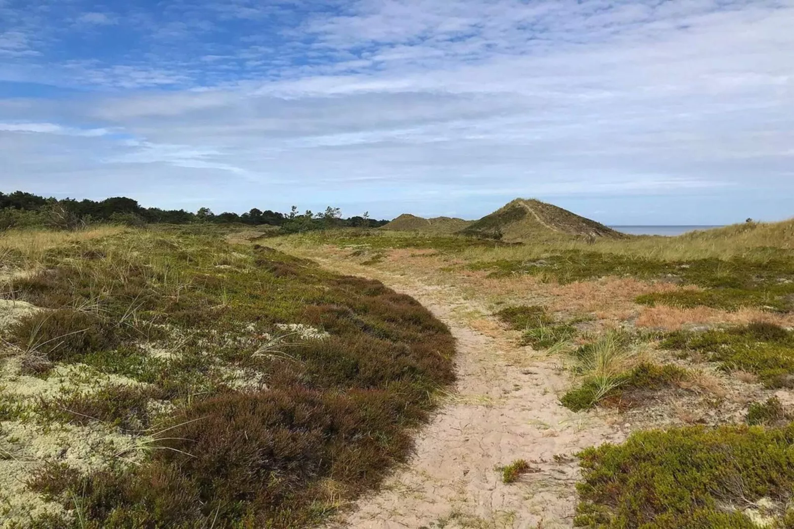 8 persoons vakantie huis in Læsø-By Traum-Niet-getagd