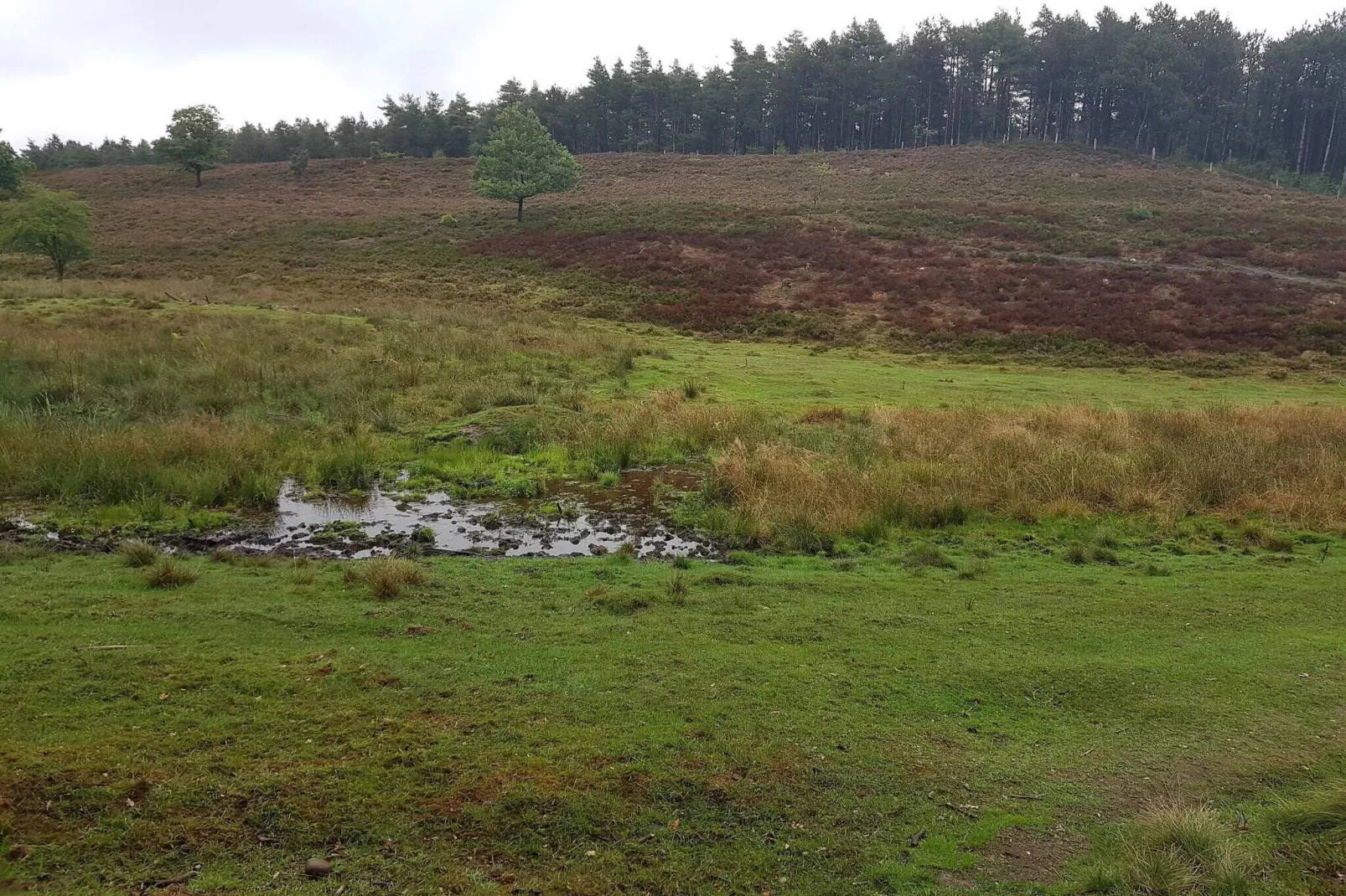 6 persoons vakantie huis in Silkeborg-By Traum-Niet-getagd