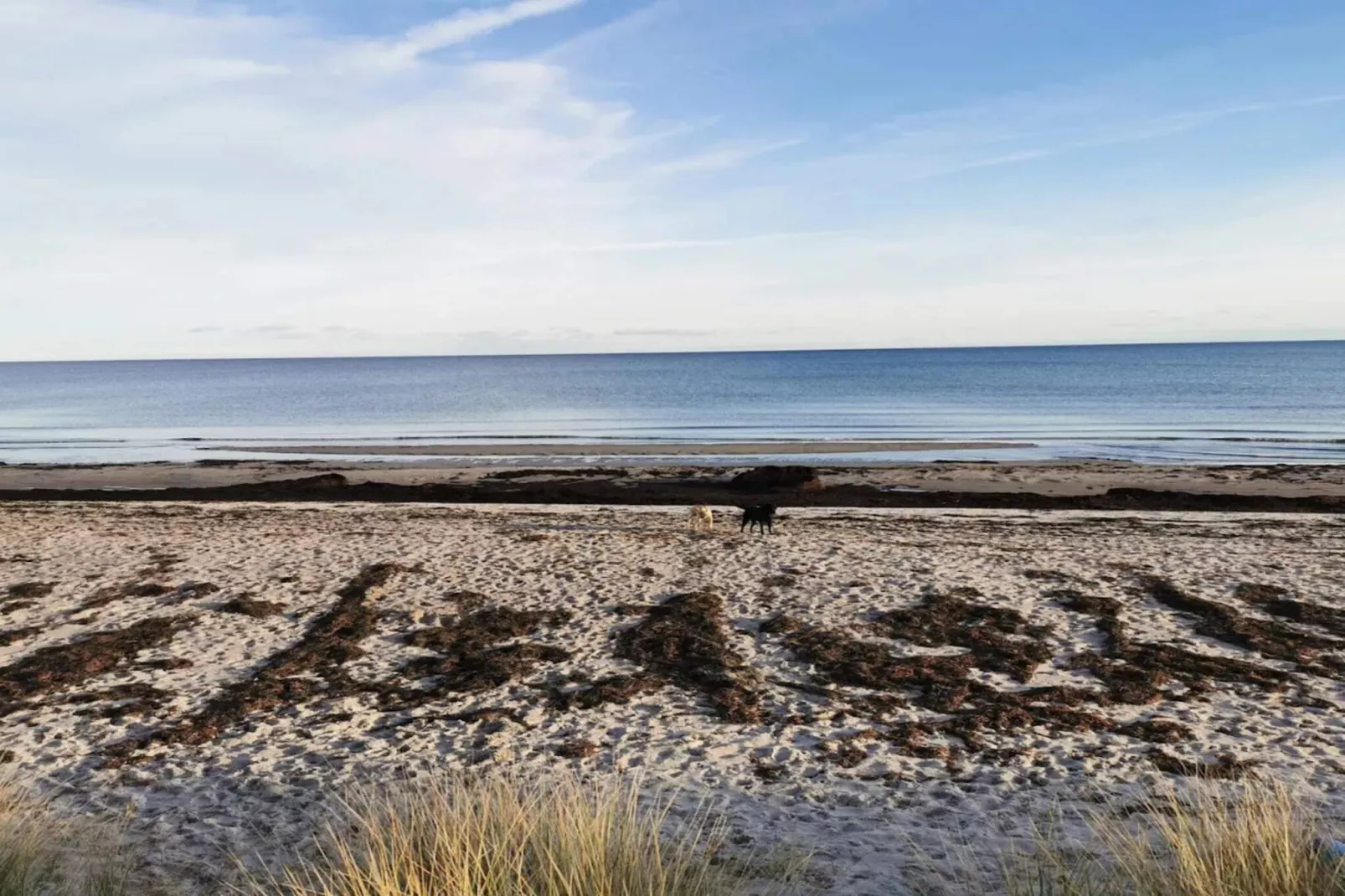 3 room, close to the sea/dike-Waterzicht