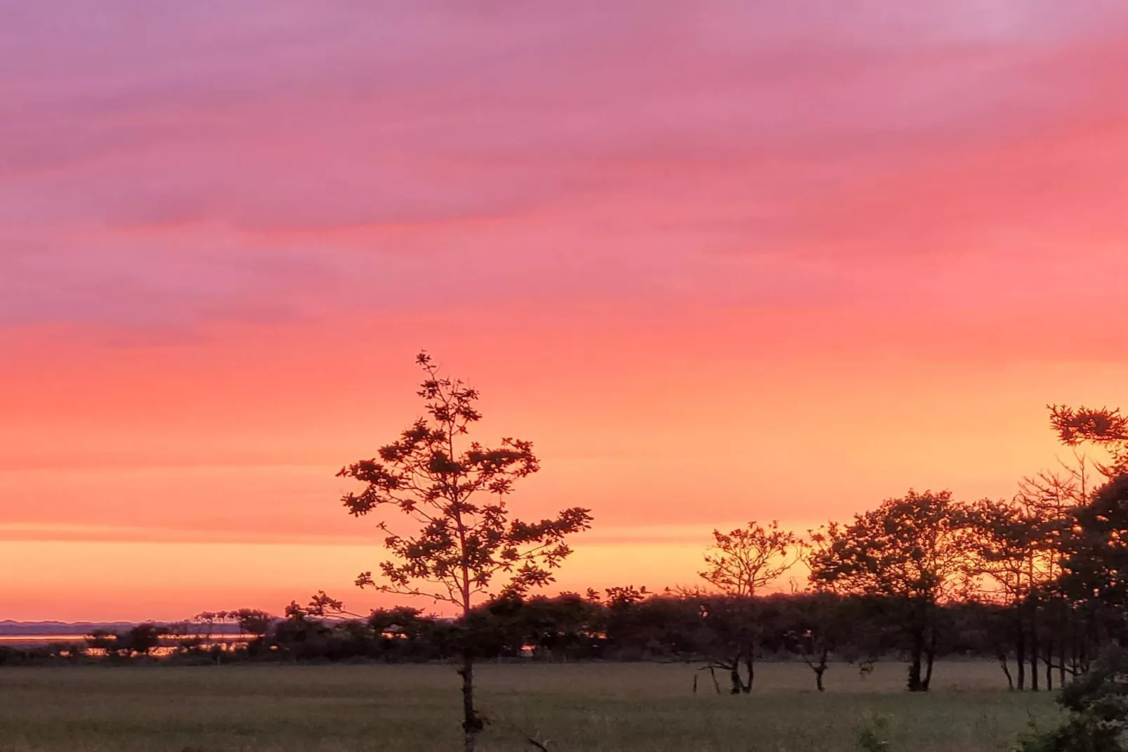 6 persoons vakantie huis in Oksbøl-By Traum-Niet-getagd