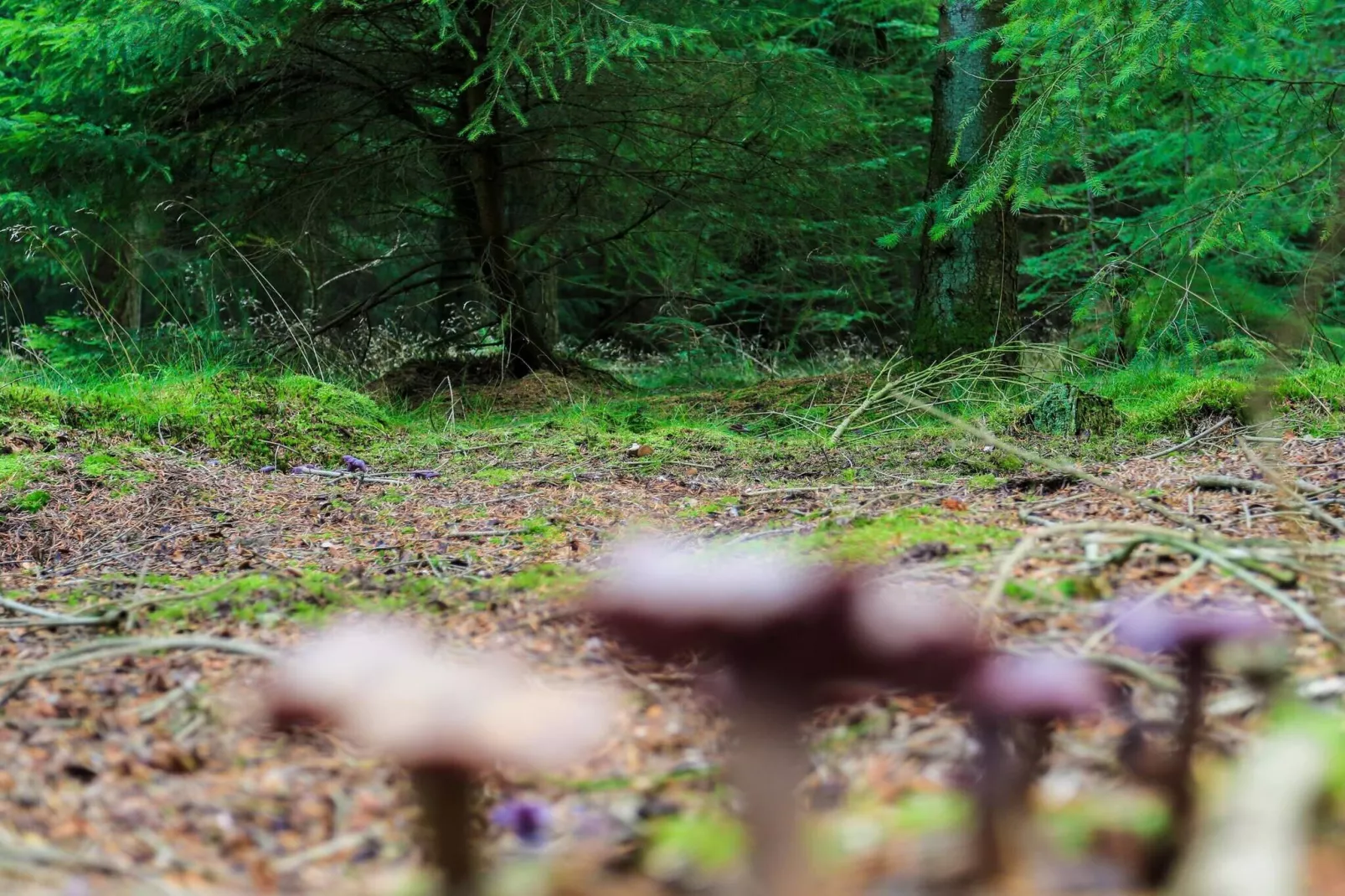 5 persoons vakantie huis in Hovborg-By Traum-Niet-getagd