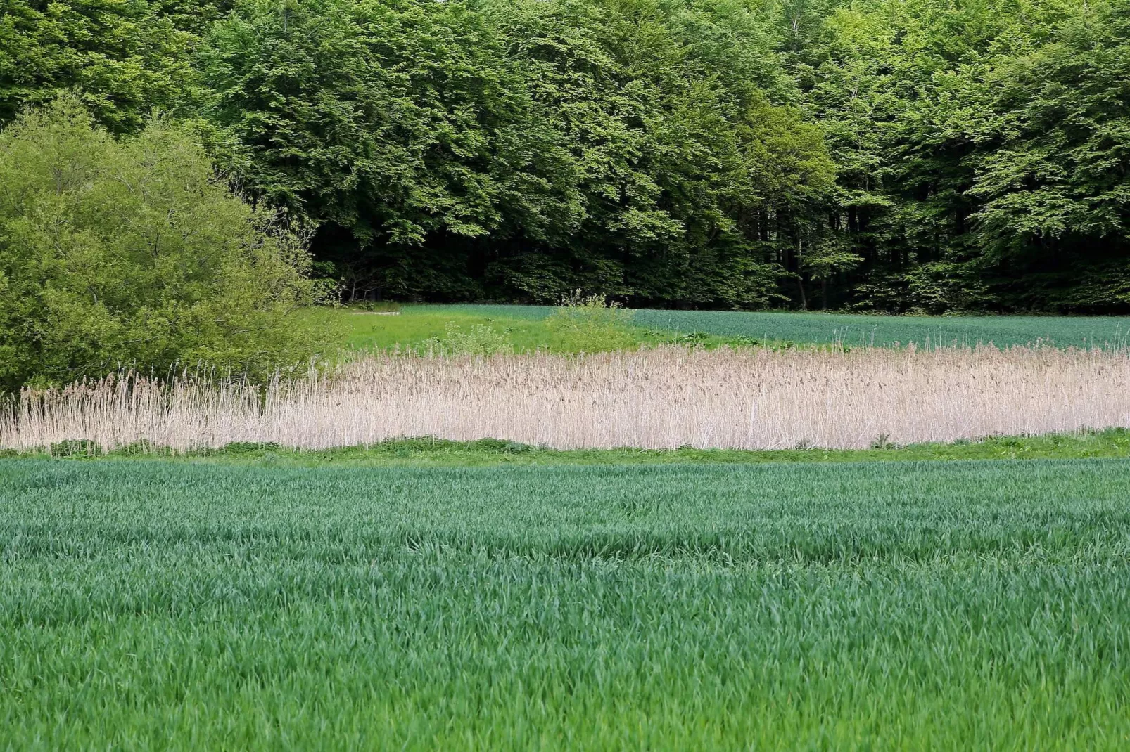 Luxe zwembadvilla in Lohals -- By Traum Ferienwohnungen-Niet-getagd