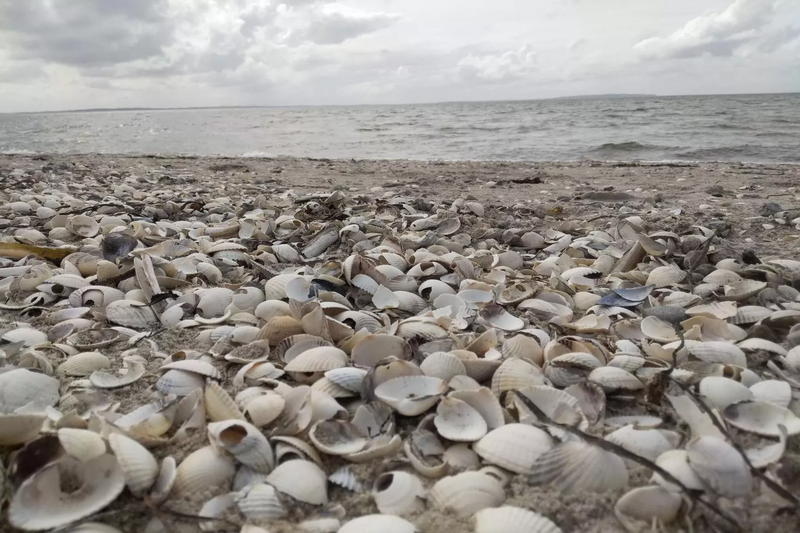 6 persoons vakantie huis in Løgstør-Waterzicht