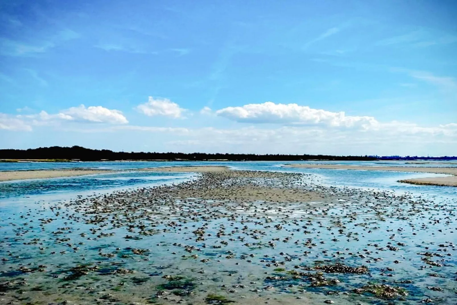 6 persoons vakantie huis in Jægerspris-By Traum-Waterzicht