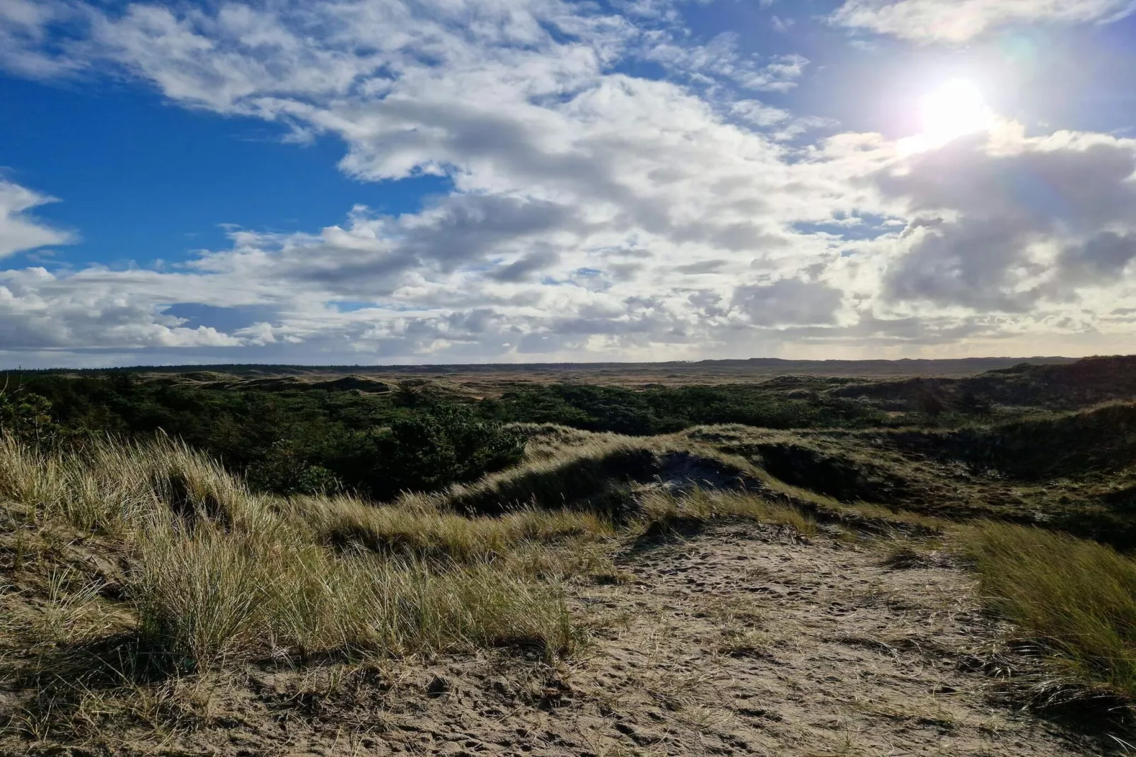 6 persoons vakantie huis in Ulfborg-By Traum-Niet-getagd