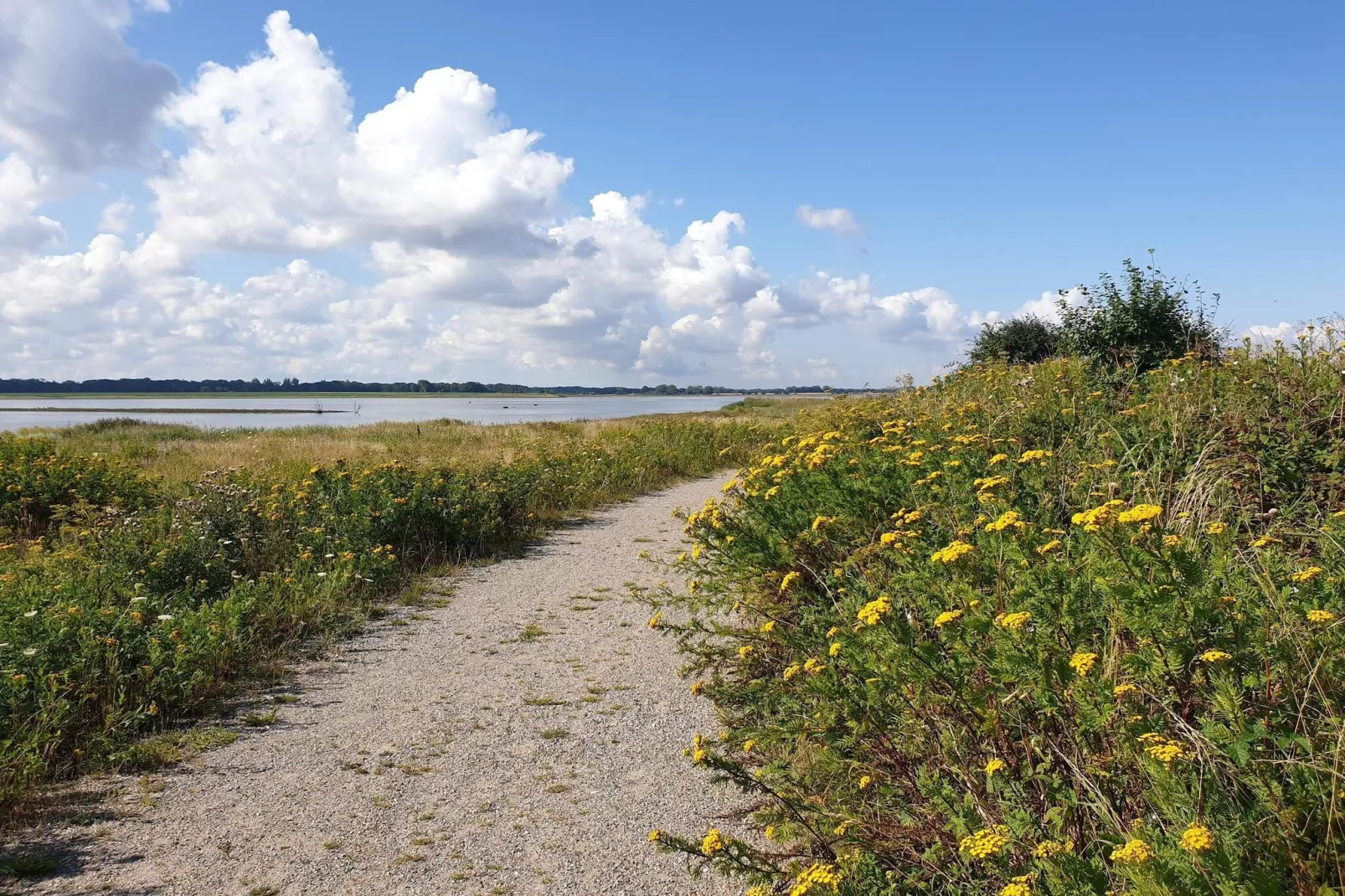 8 persoons vakantie huis in Bogense-By Traum-Waterzicht