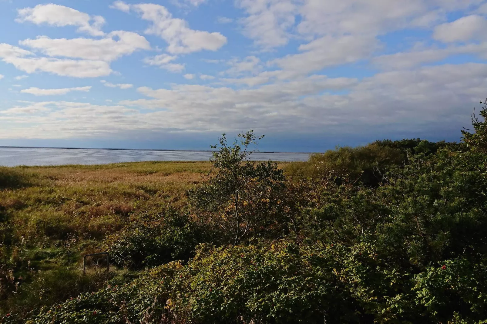 6 persoons vakantie huis in Skjern-By Traum-Buitenlucht