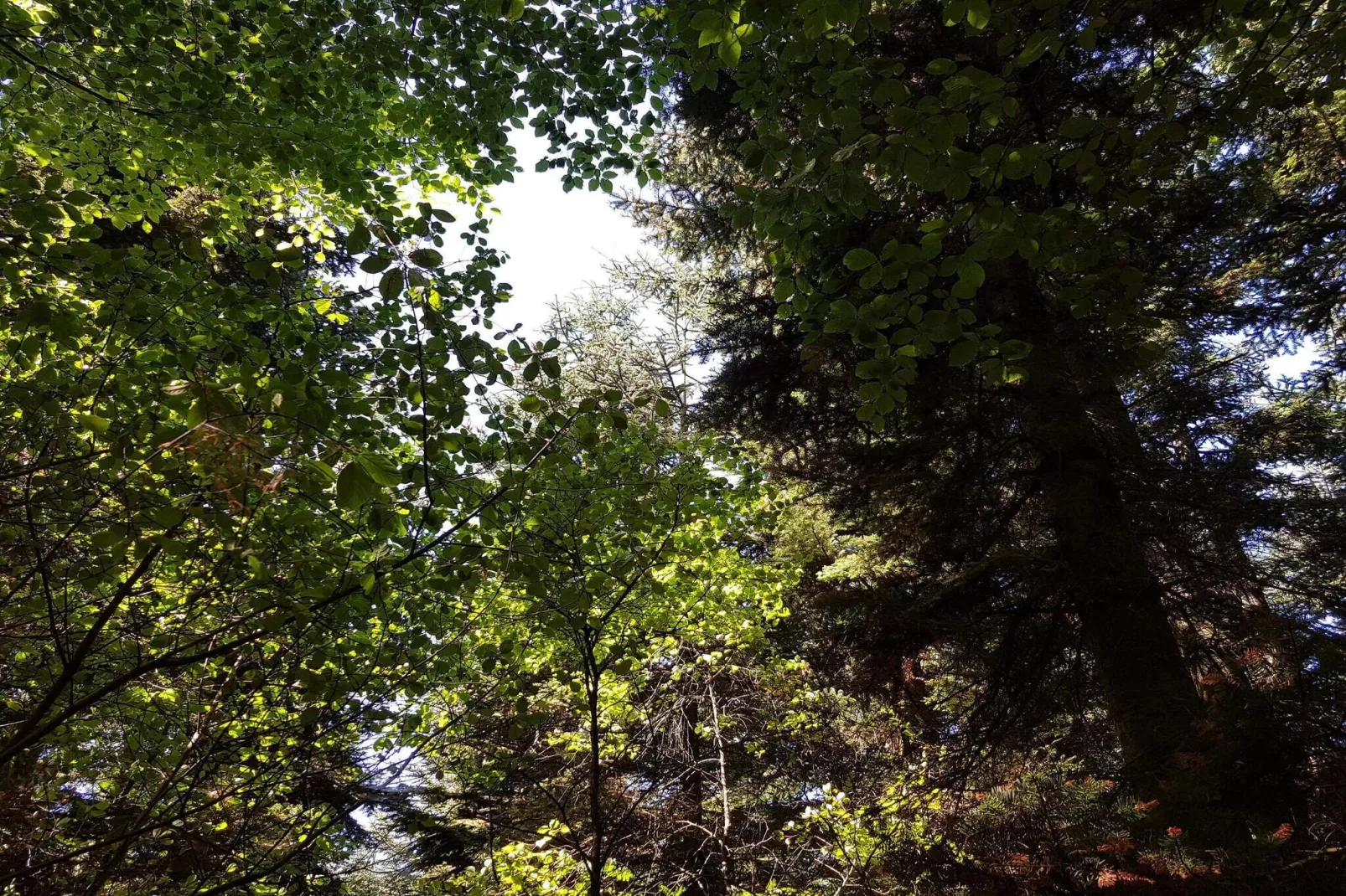 Gezellig toevluchtsoord in Arrild -- By Traum Ferienwohnungen-Niet-getagd