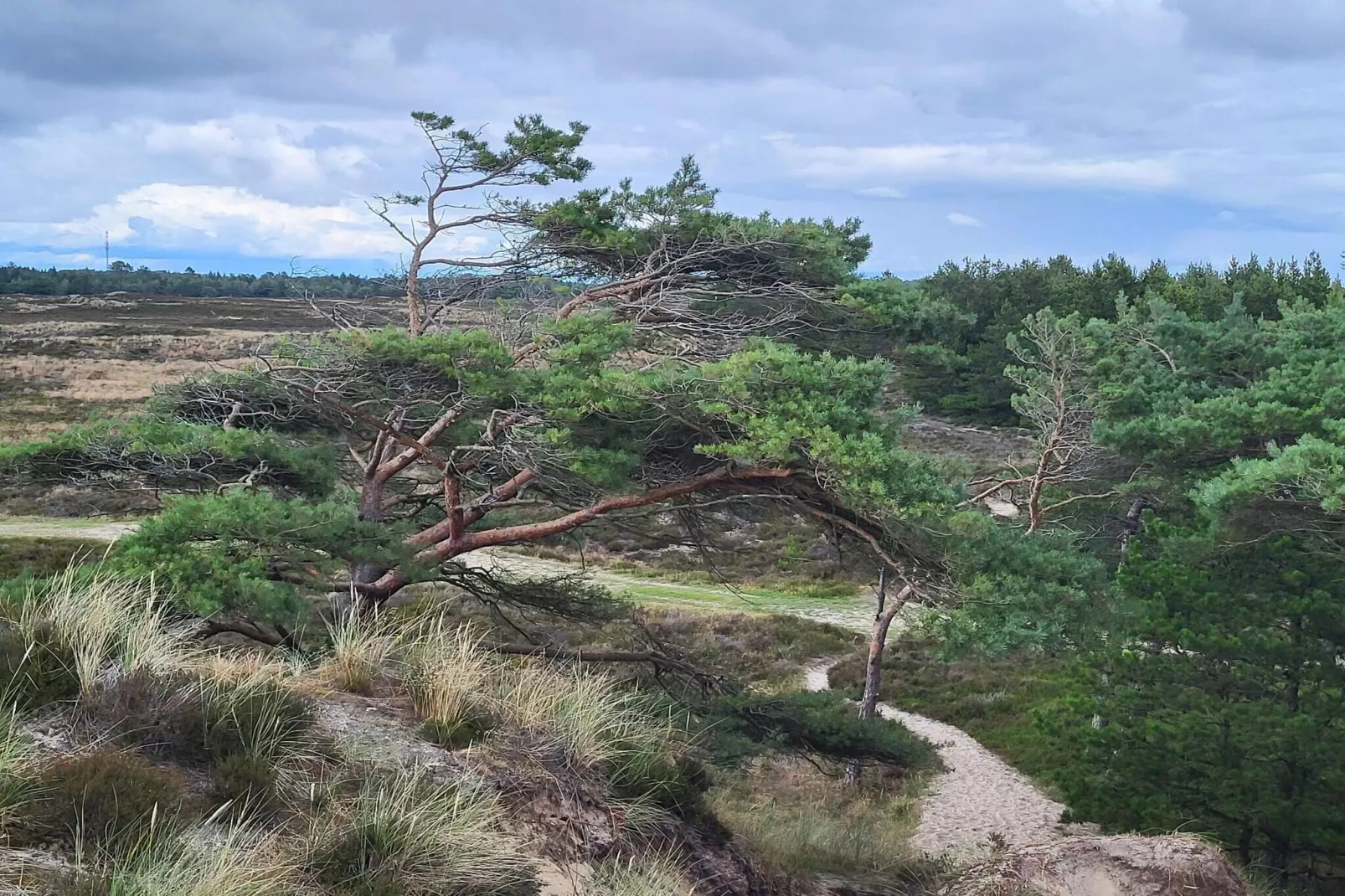 6 persoons vakantie huis in Rømø-By Traum-Niet-getagd