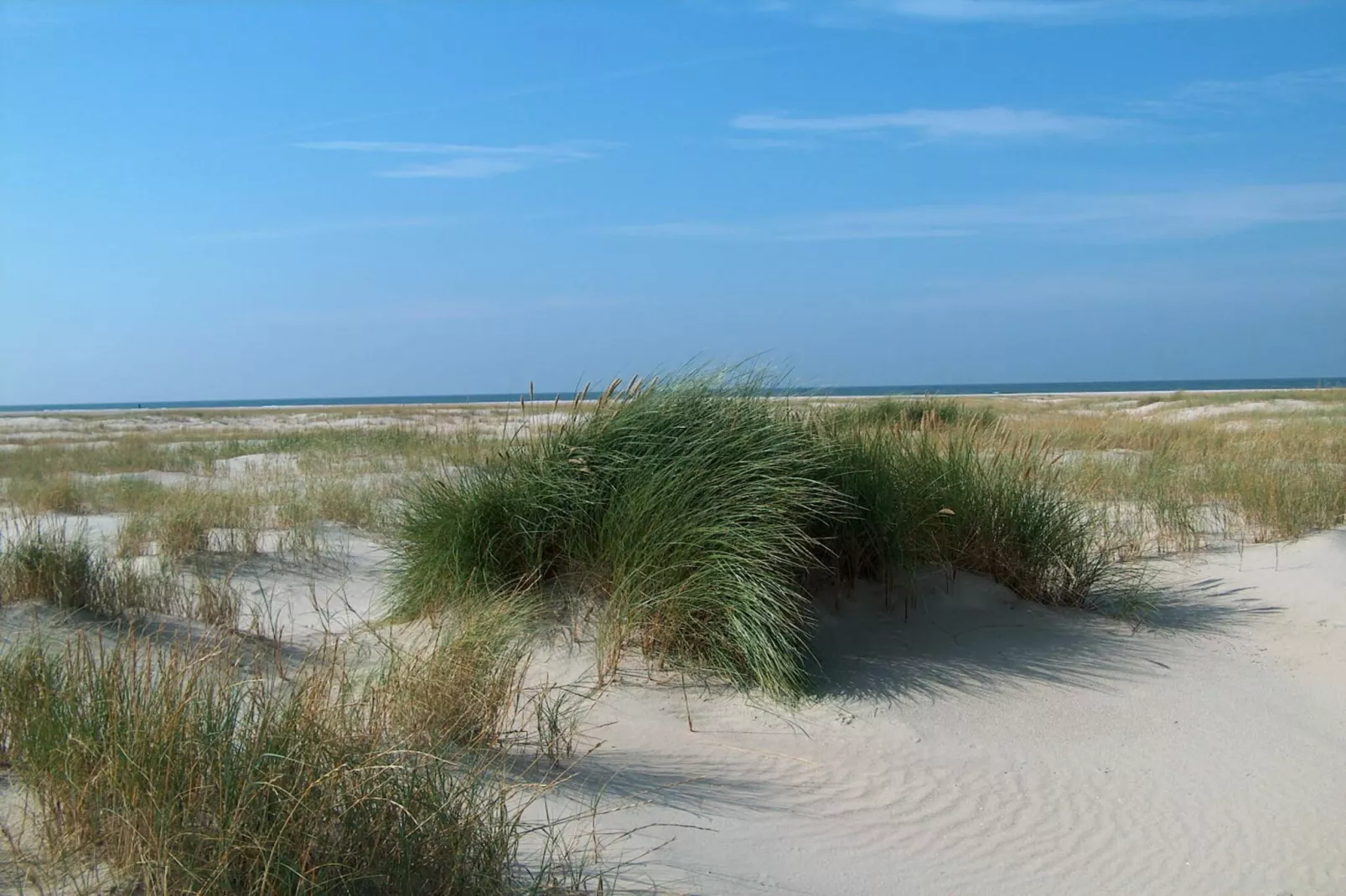 4 persoons vakantie huis in Rømø-By Traum-Niet-getagd