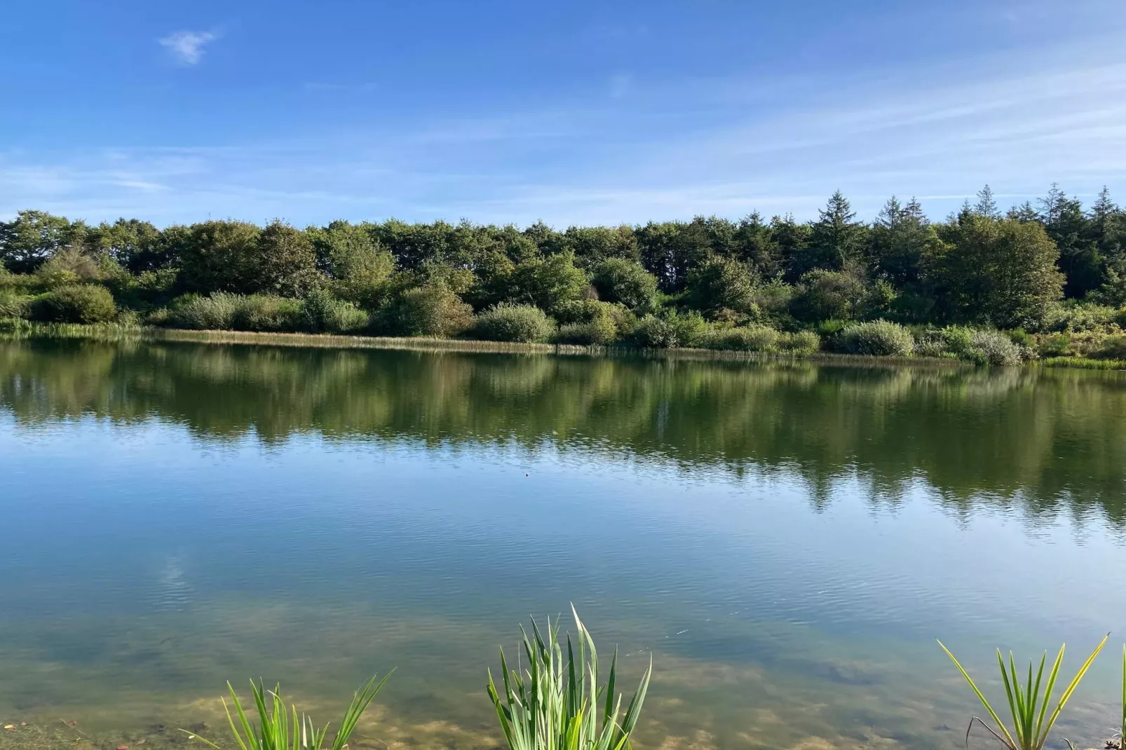 4 persoons vakantie huis in Toftlund-By Traum-Waterzicht