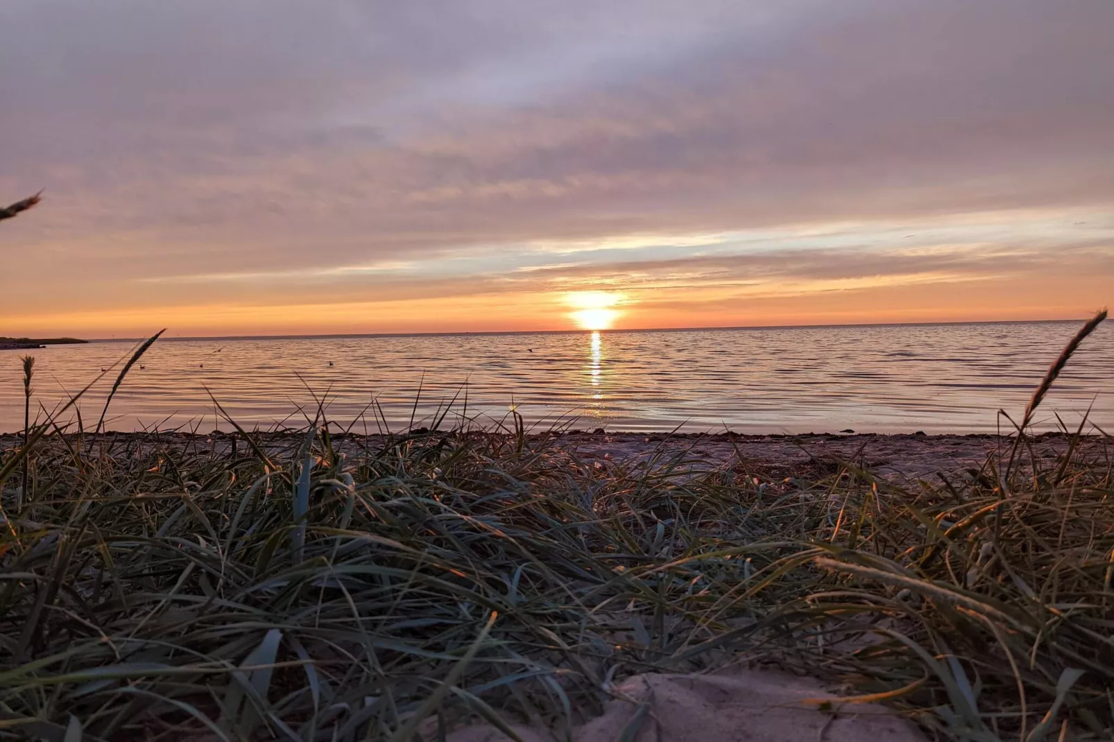 8 persoons vakantie huis in Tarm-By Traum-Waterzicht