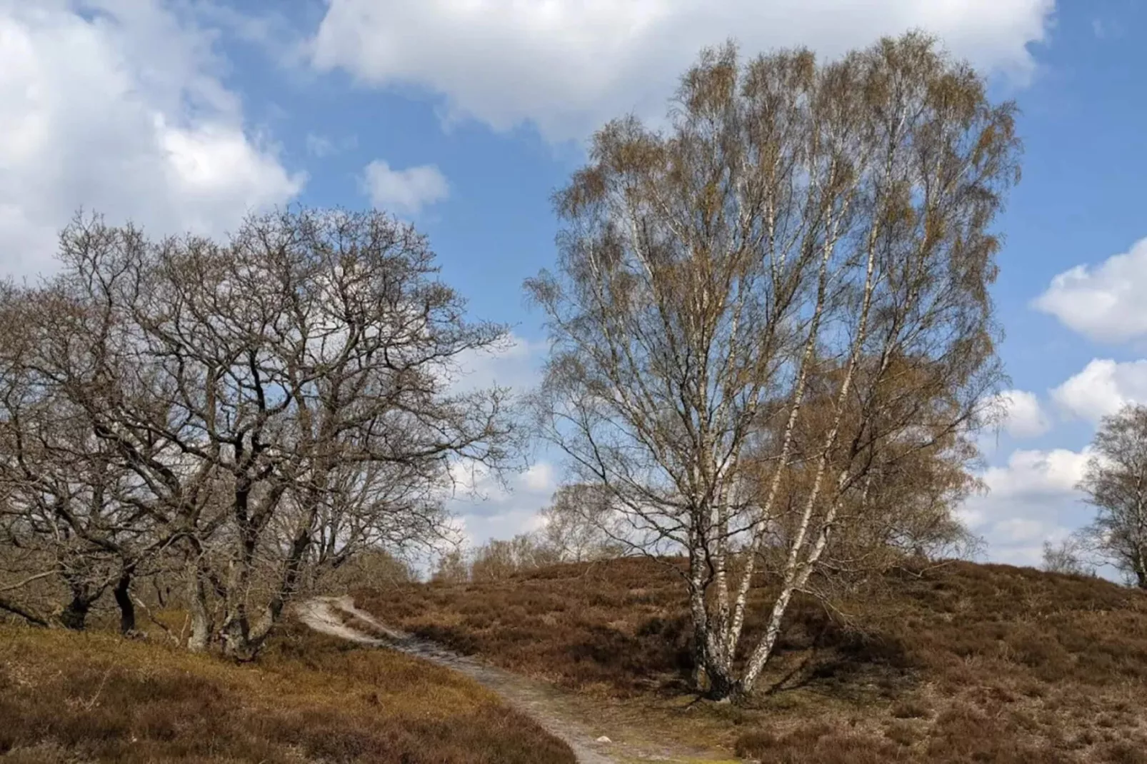 8 persoons vakantie huis in Gjern-By Traum-Niet-getagd