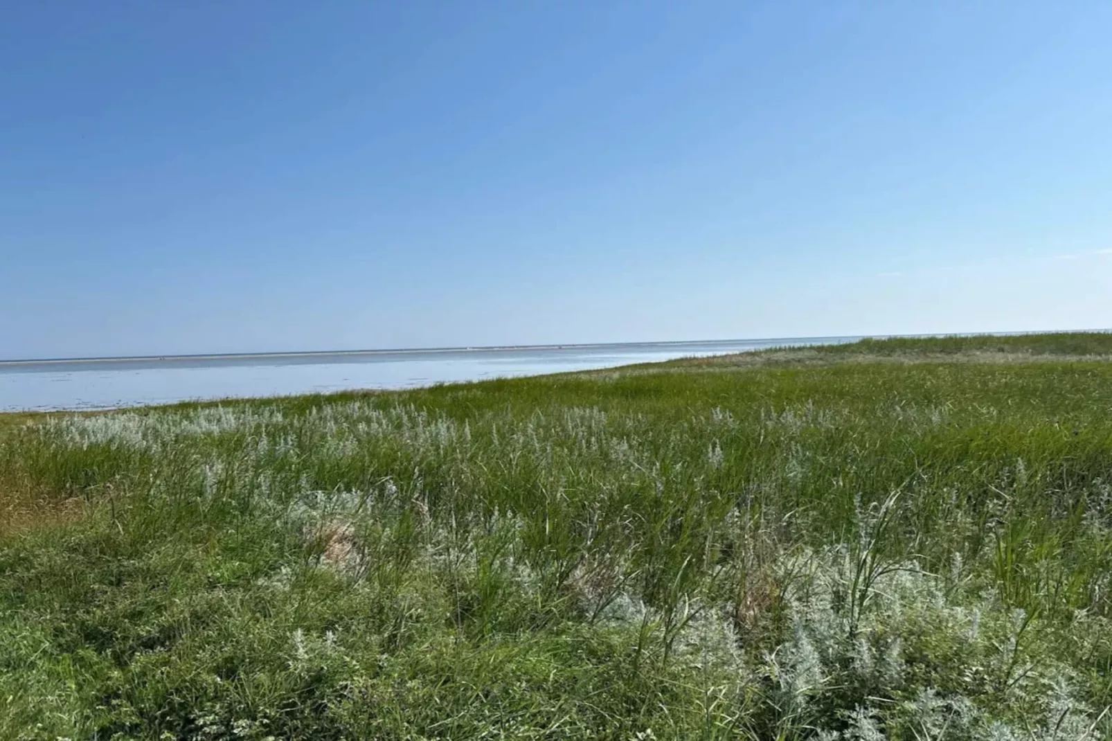 11 persoons vakantie huis in Ørsted-By Traum - Waterzicht