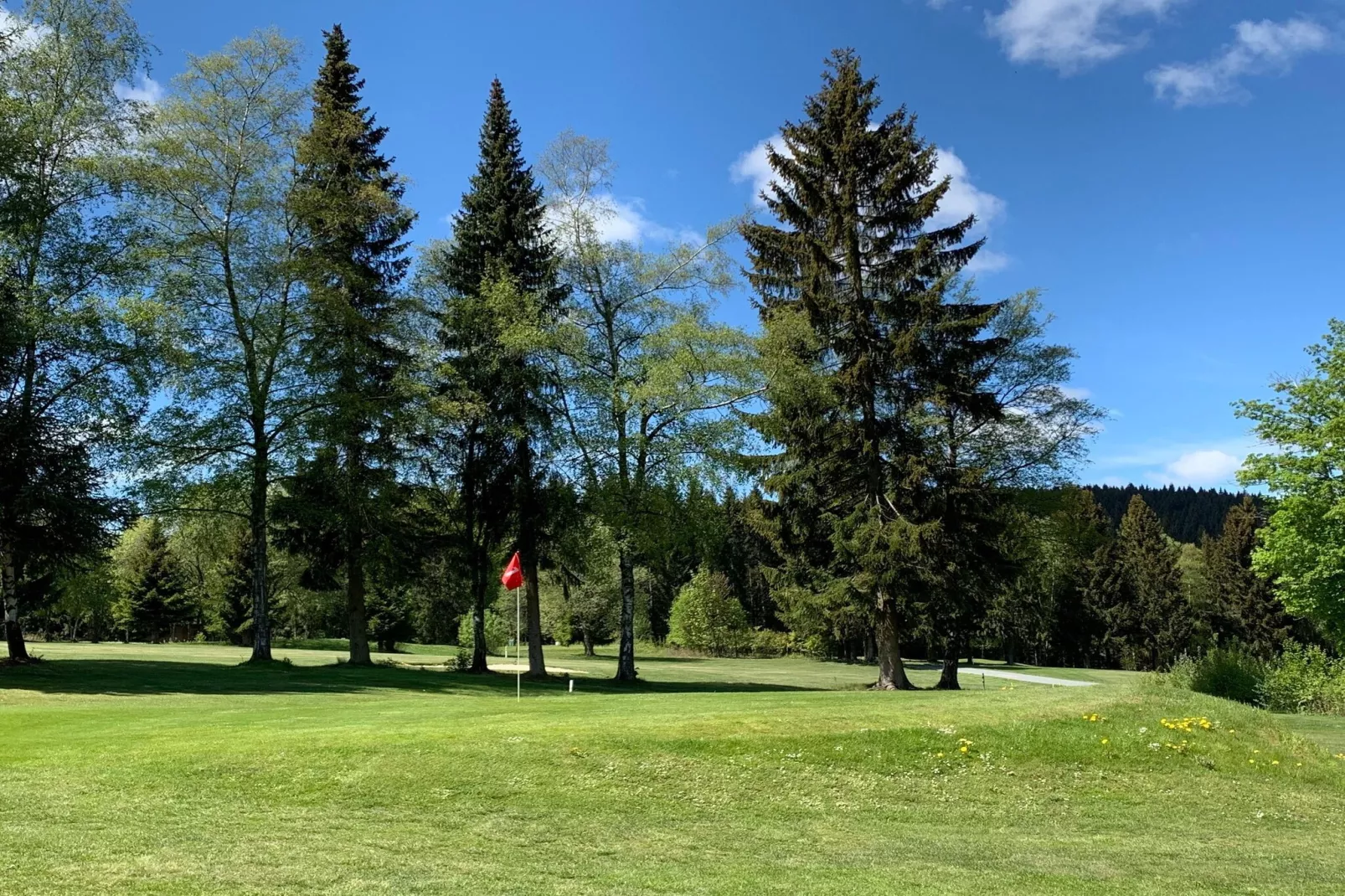 Am Waltenberg 70-MG-Gebieden zomer 5km