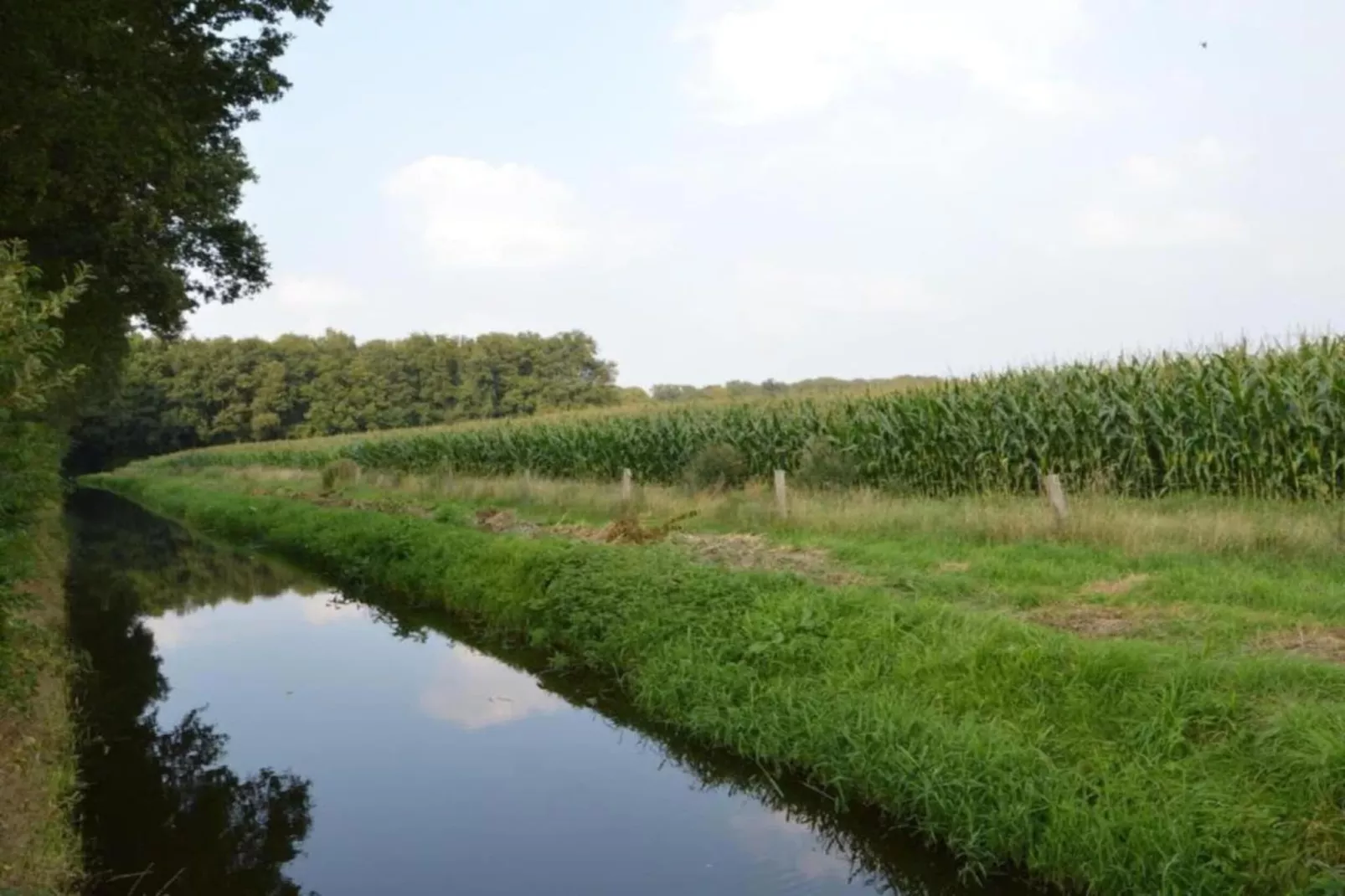 De Mattelier-Gebieden zomer 20km