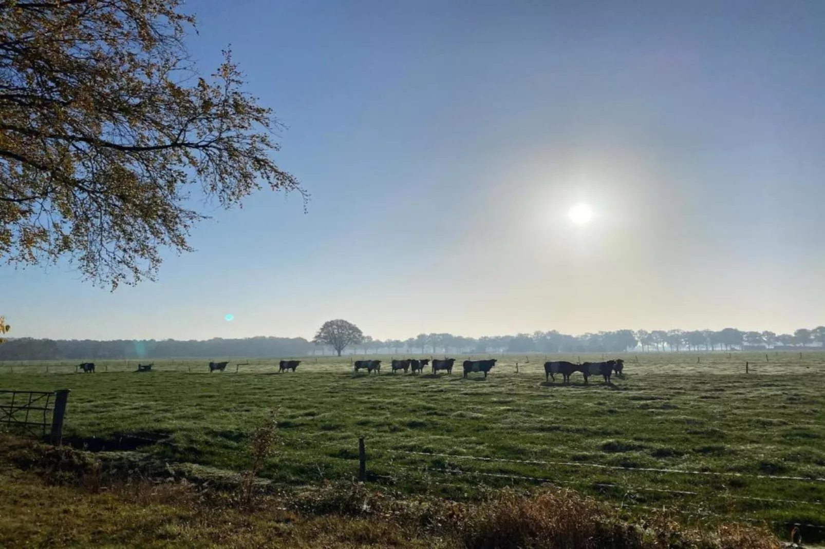 Vakantiepark De Lochemse Berg 1-Gebieden zomer 20km