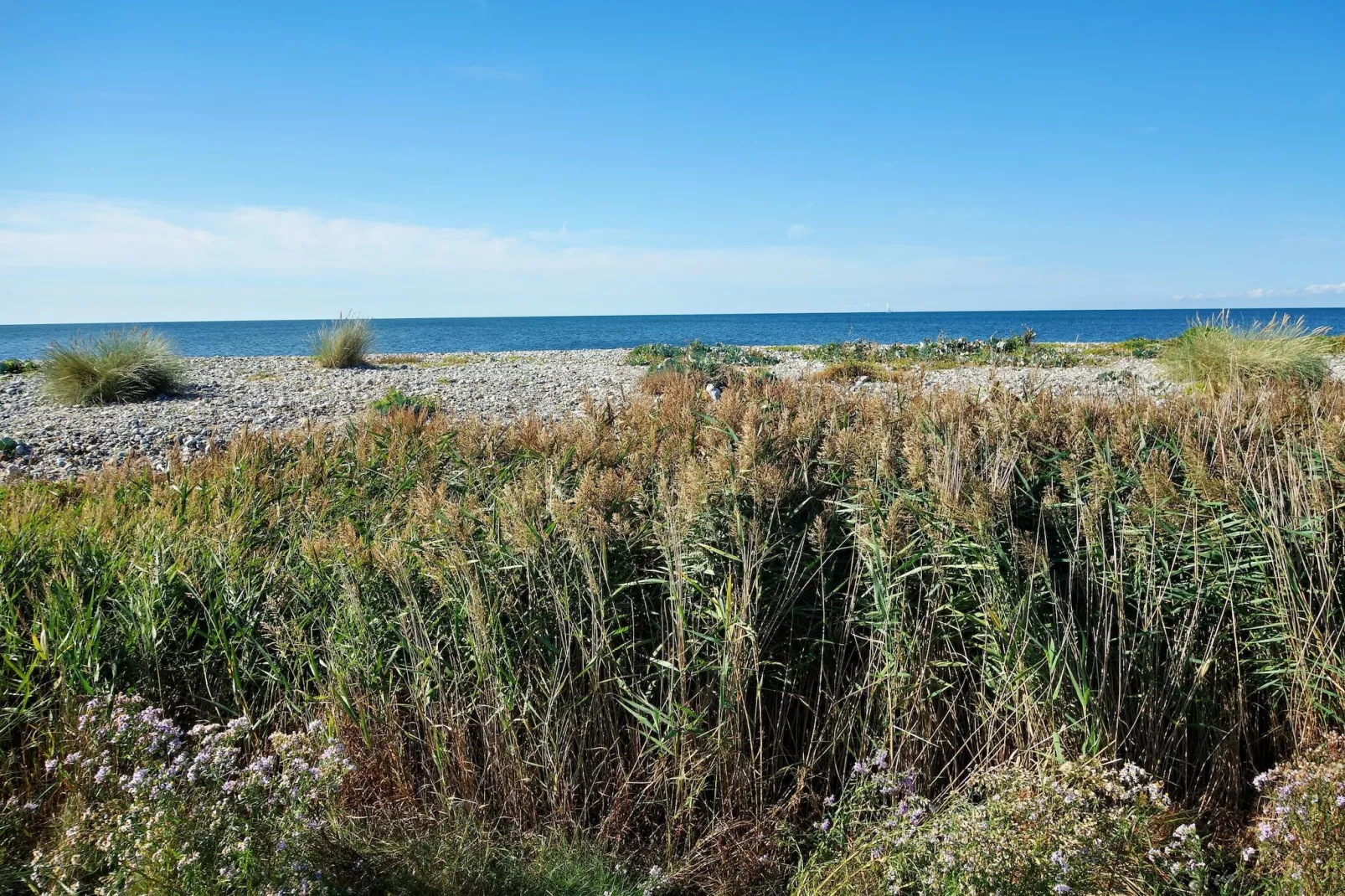 Schlagsdorf 40 EG Feldblick-Gebieden zomer 5km