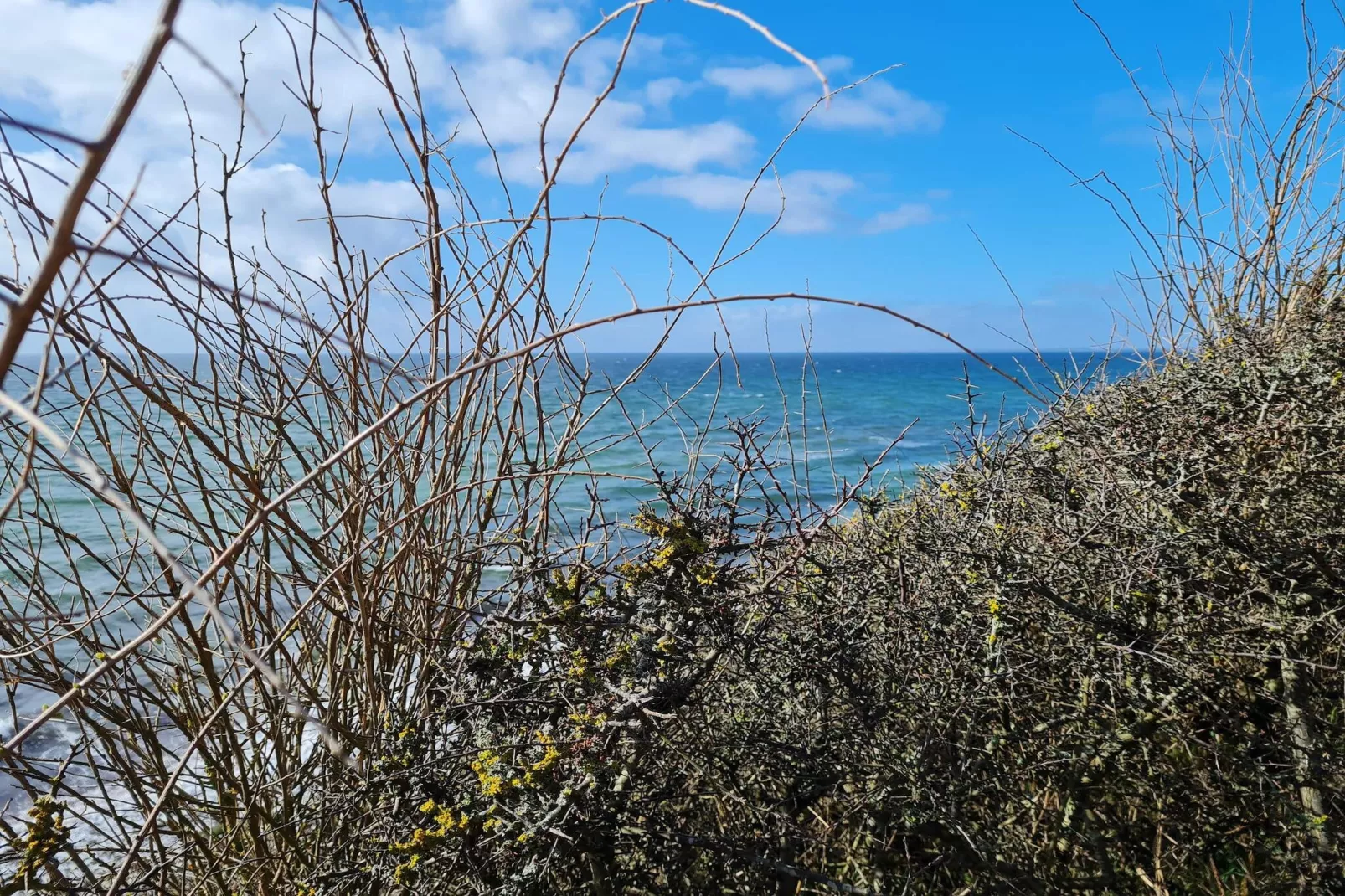 9 persoons vakantie huis in Humble-By Traum-Waterzicht