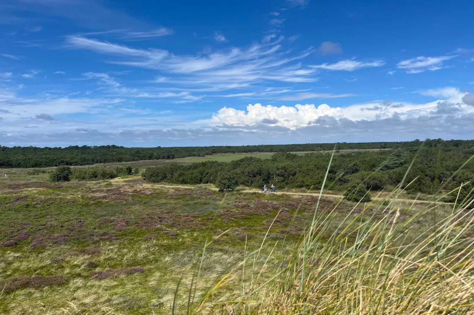 Luxe retraite met zwembad -- By Traum Ferienwohnungen-Waterzicht