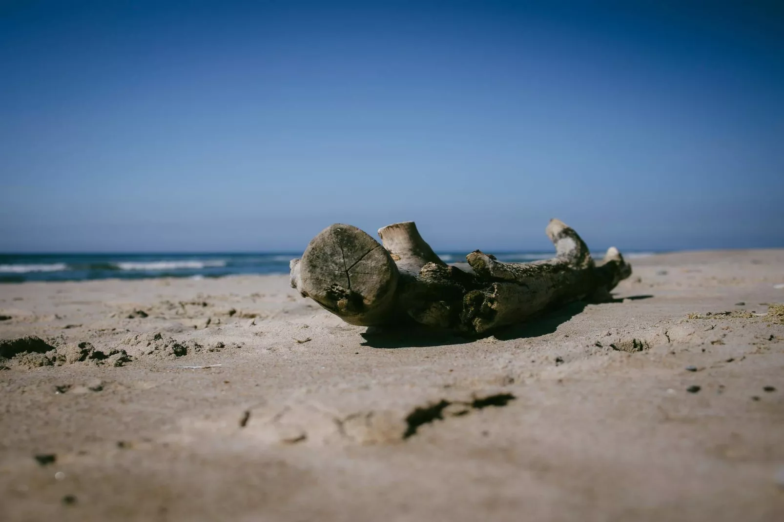 Sfeervol Dorpsverblijf -- By Traum Ferienwohnungen-Waterzicht