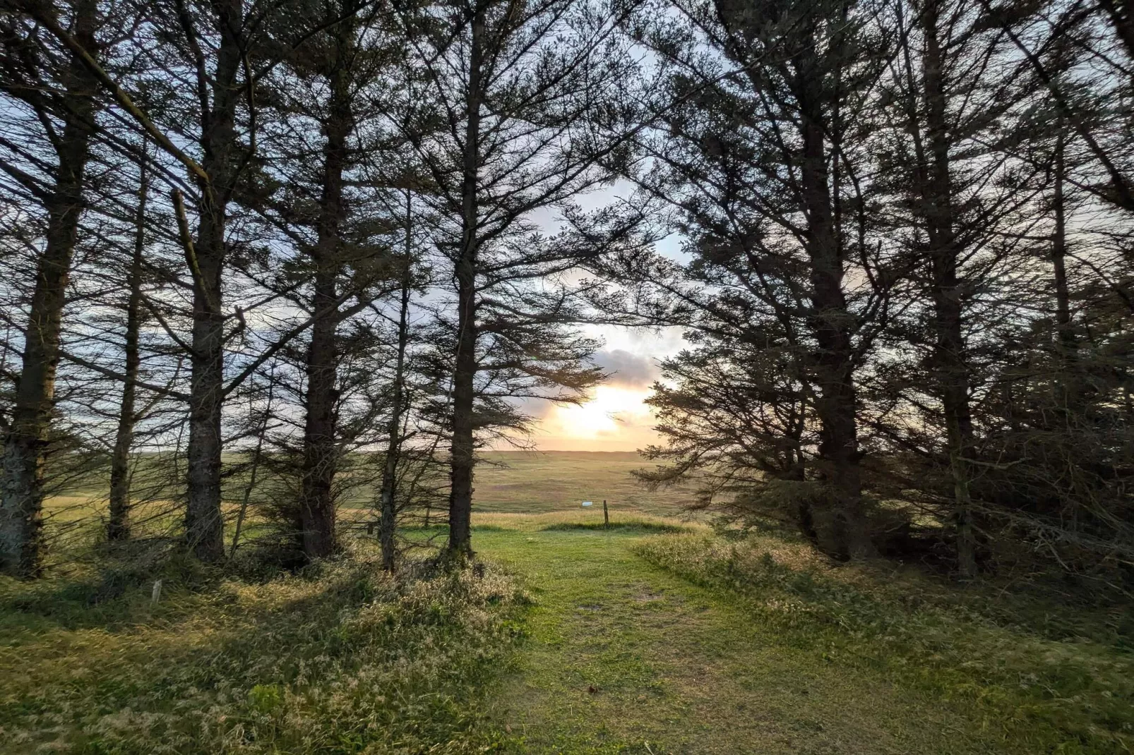 4 persoons vakantie huis in Hanstholm-By Traum-Niet-getagd