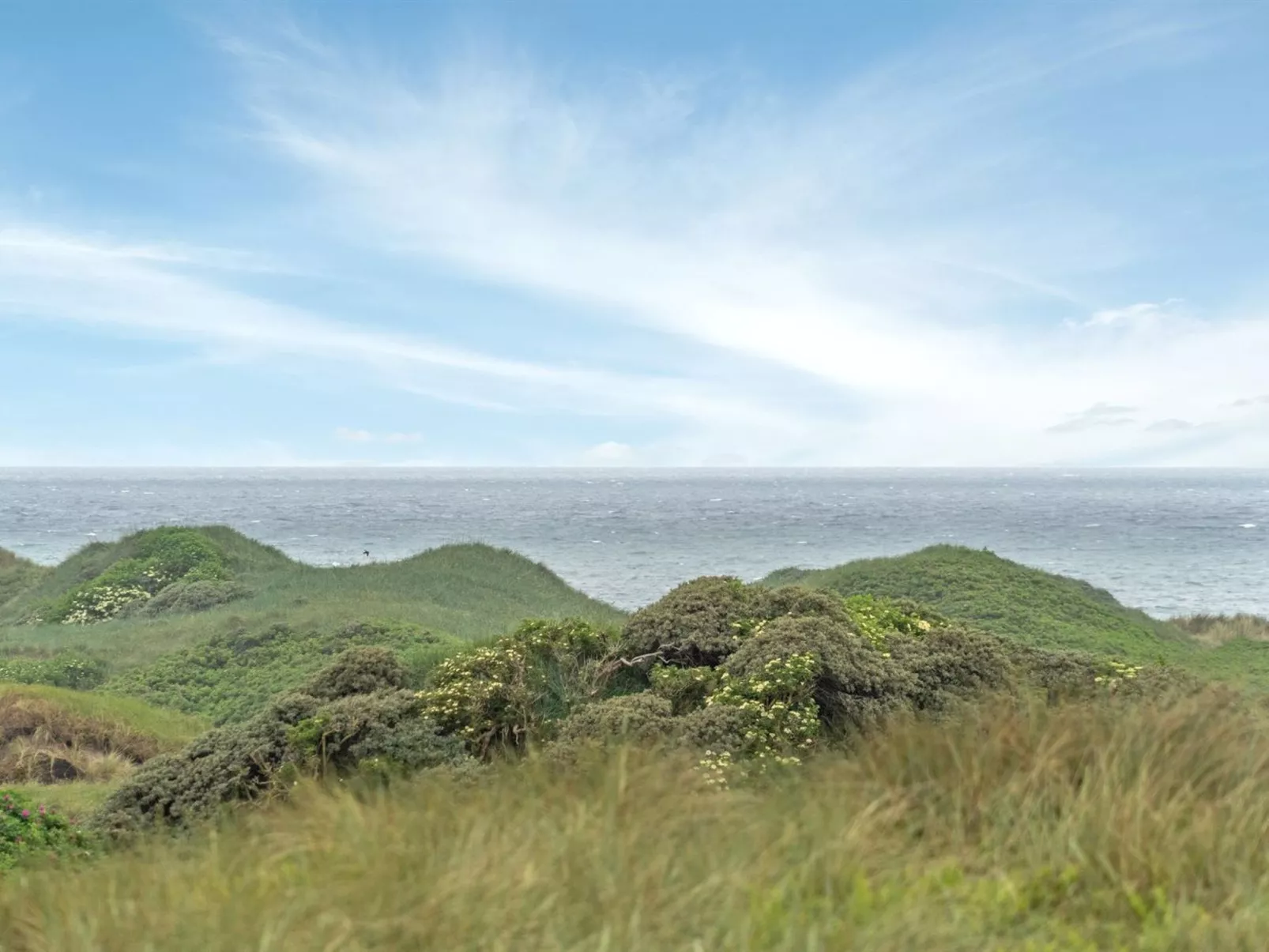 "Viktoria" - 400m from the sea-Buiten