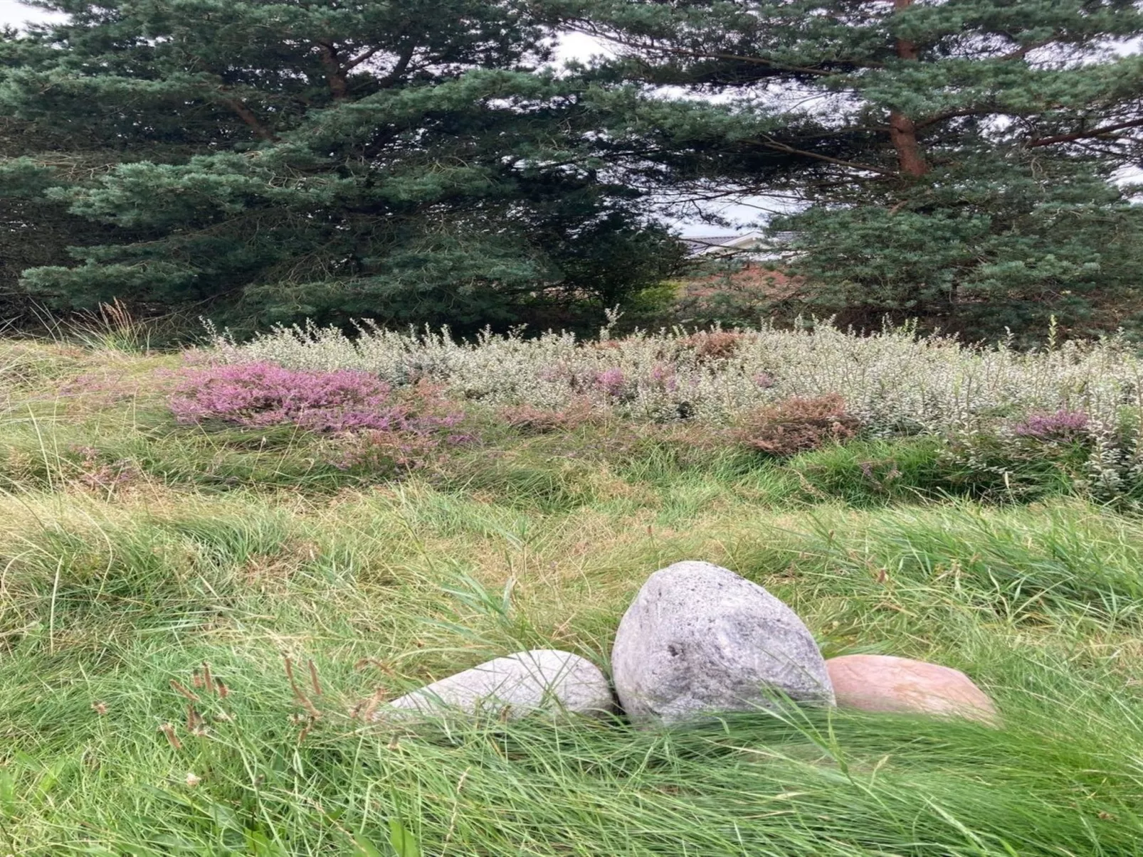 "Andriette" - 4.5km from the sea-Buiten