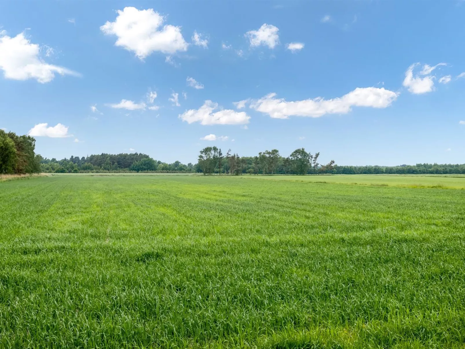 "Ema" - 5km from the sea-Buiten