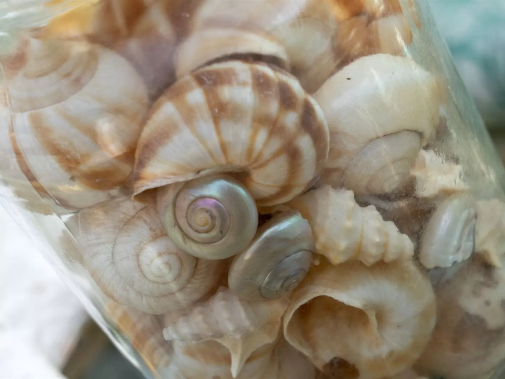 "Annamie" - 650m from the sea-Binnen