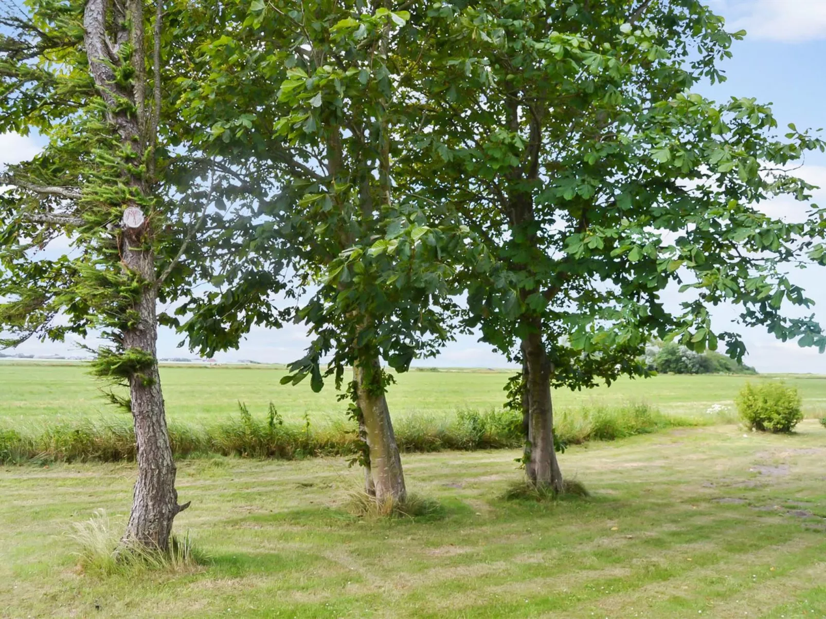 "Juuso" - 20km from the sea-Buiten