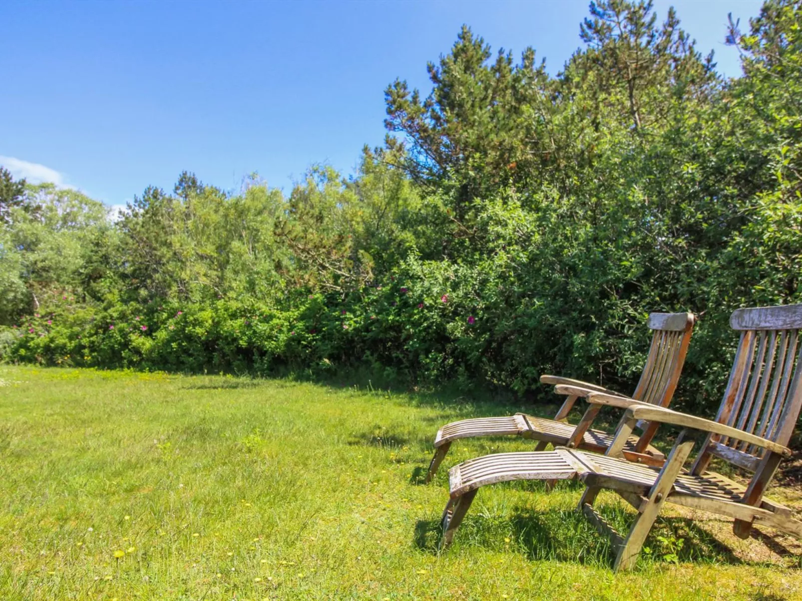 "Ylva" - 650m from the sea-Buiten