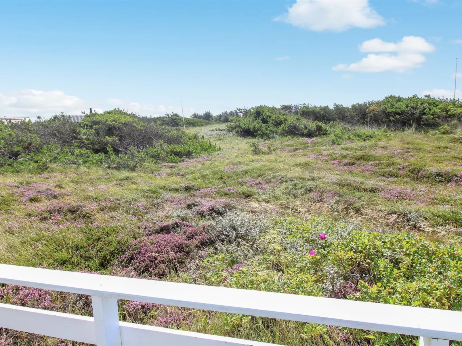 "Janni" - 250m from the sea-Buiten