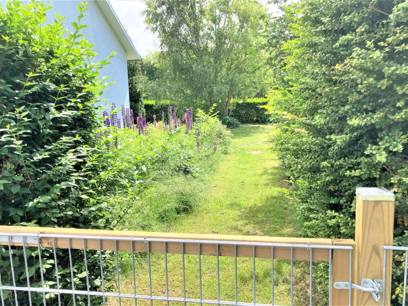 "Thrugels" - 200m from the sea-Buiten