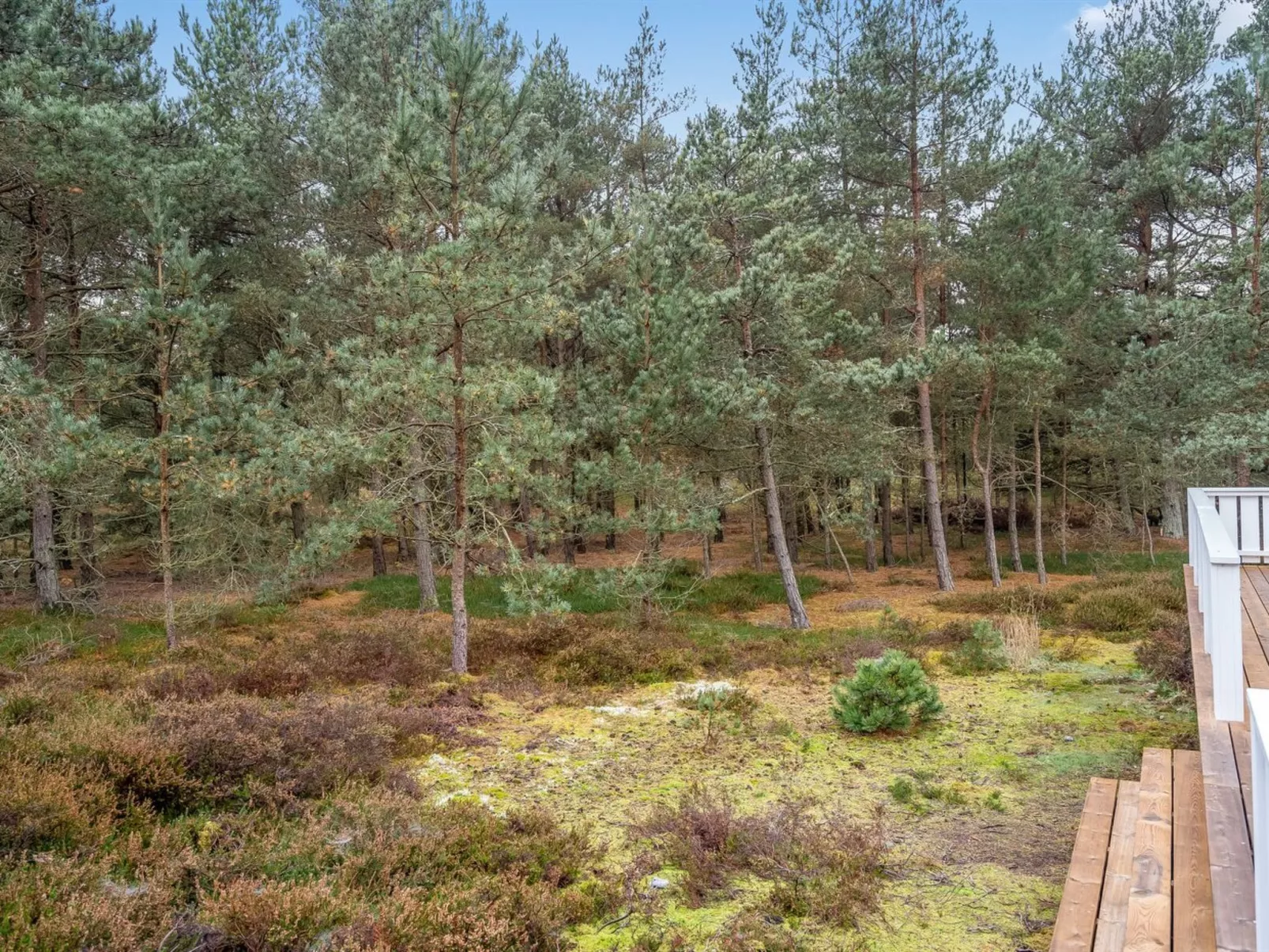 "Syrine" - 300m from the sea-Buiten