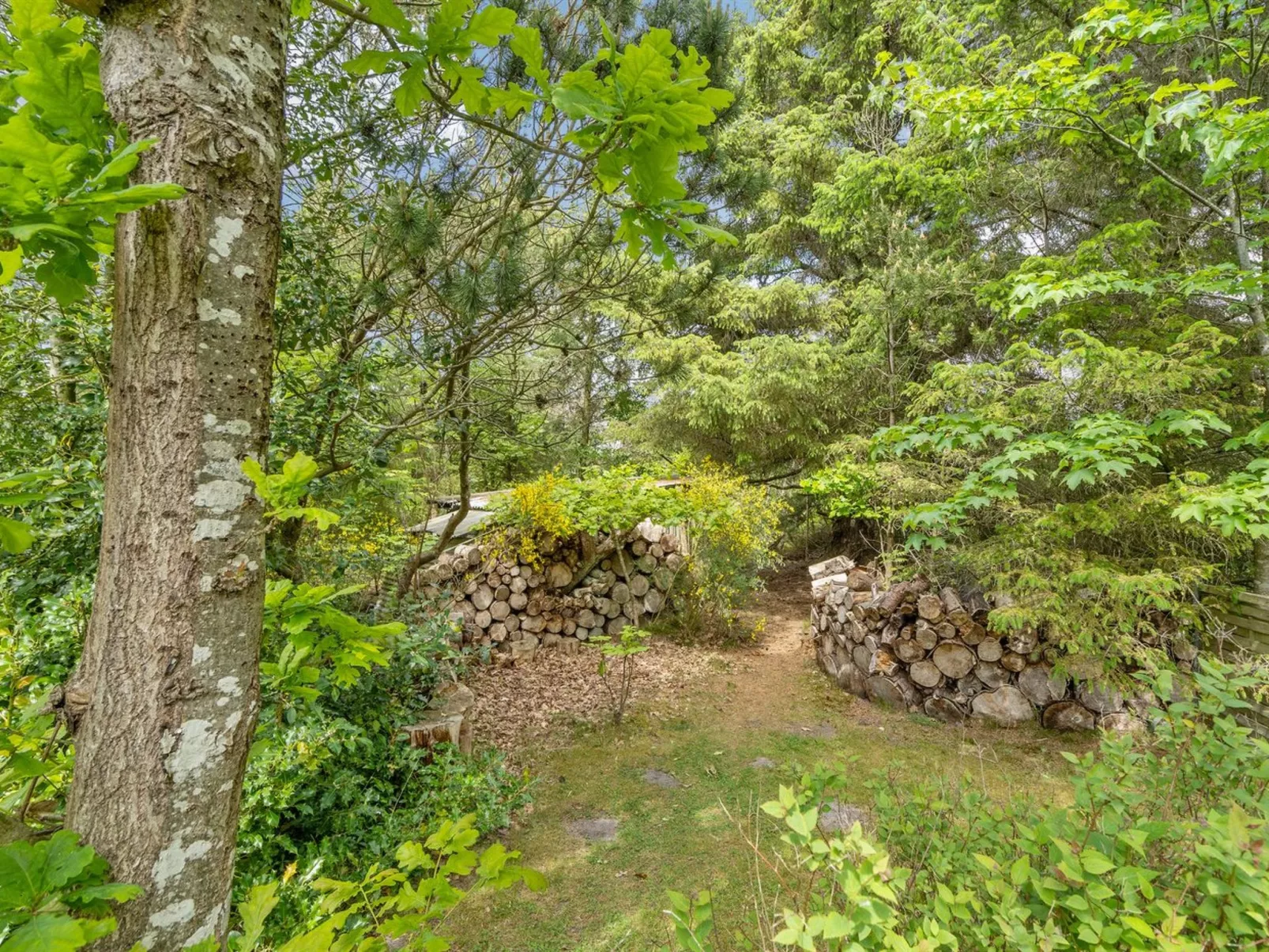 "Elevine" - 300m to the fjord-Buiten